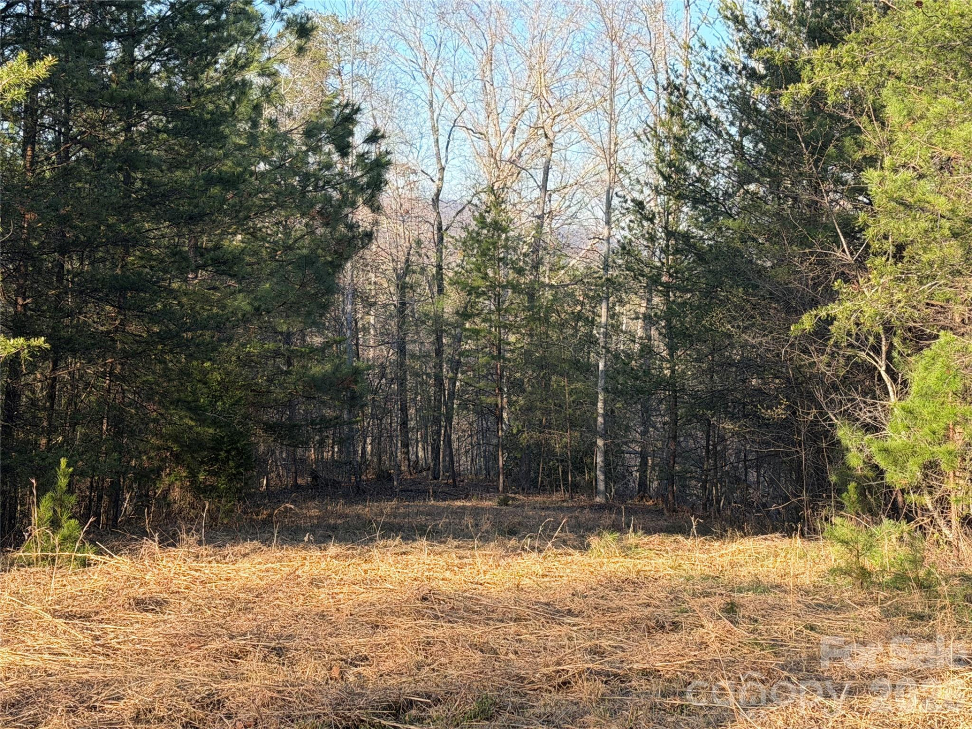 0 Shady Bark Lane #40 - Photo 33