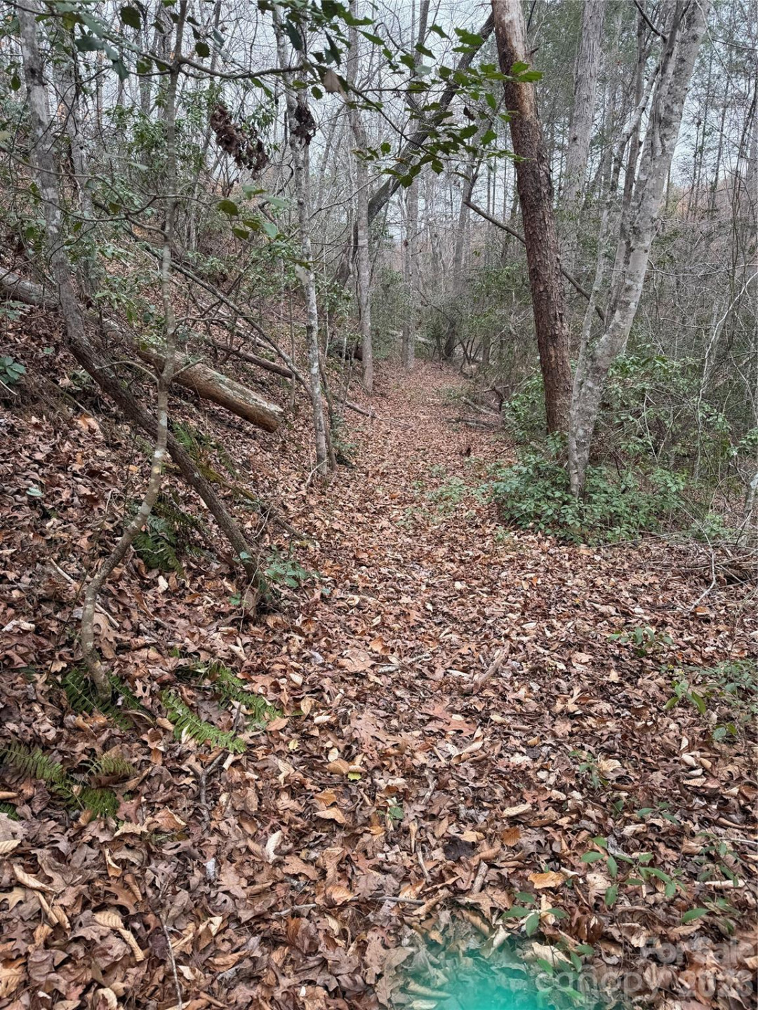 0 Shady Bark Lane #40 - Photo 5