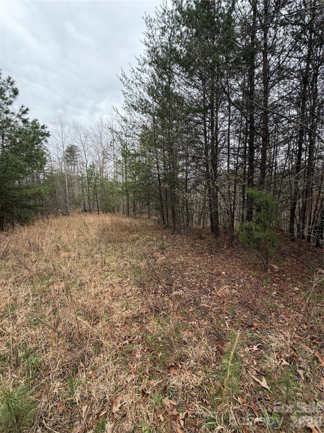 0 Shady Bark Lane #40 - Photo 6