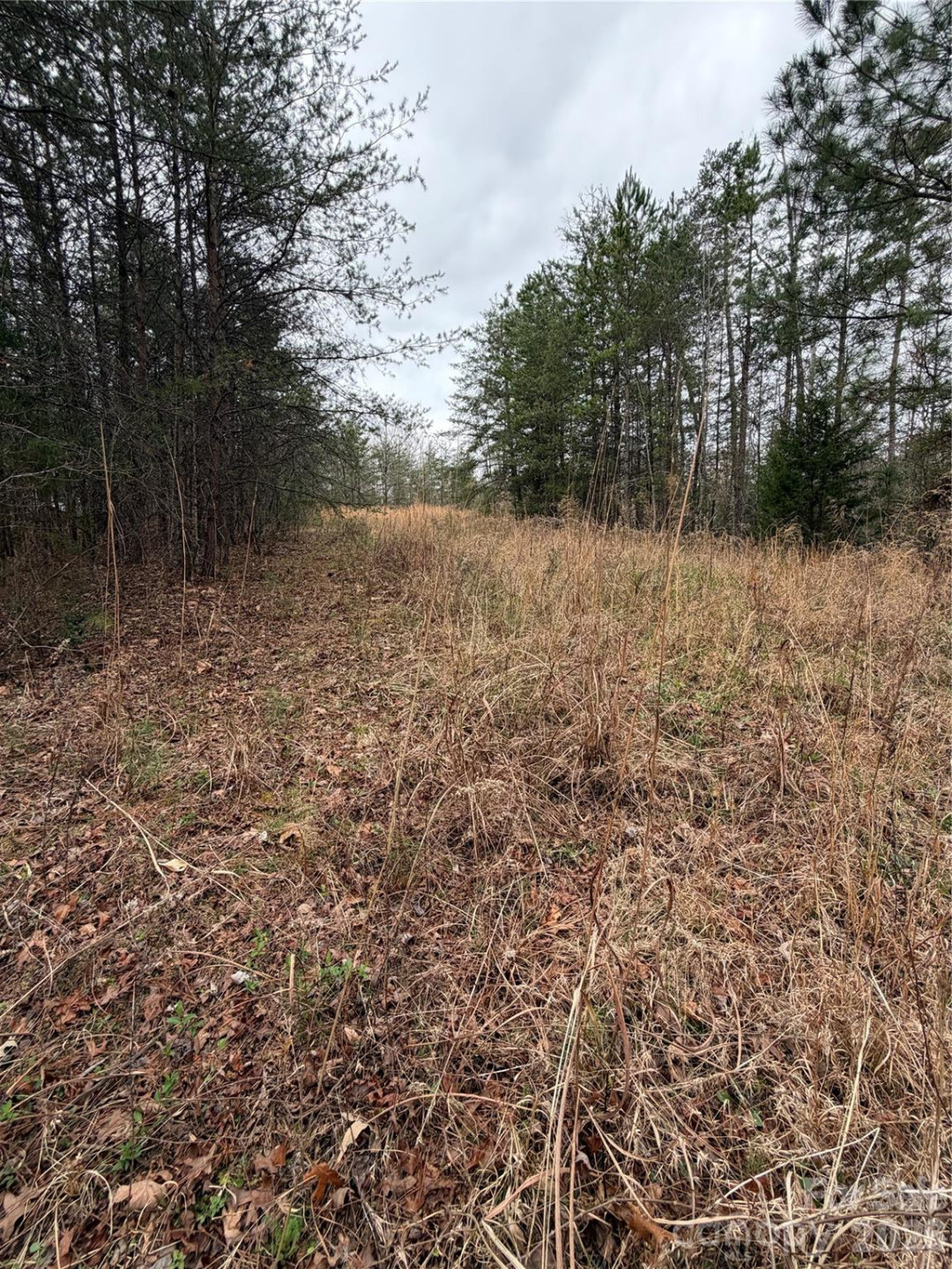 0 Shady Bark Lane #40 - Photo 7