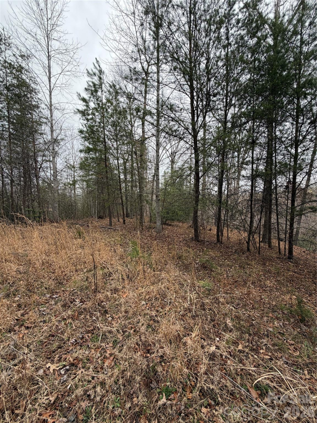 0 Shady Bark Lane #40 - Photo 8