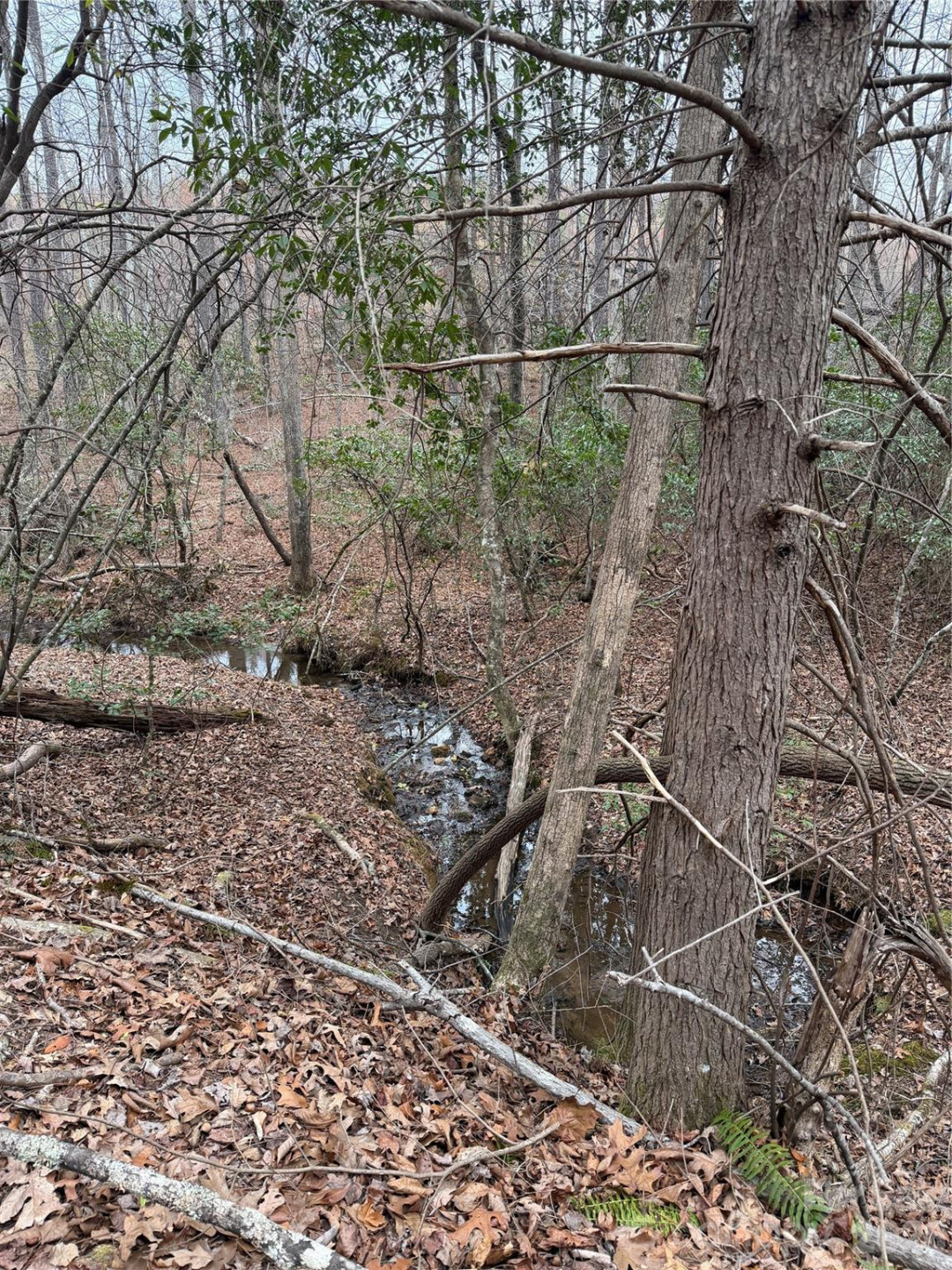 0 Shady Bark Lane #40 - Photo 9