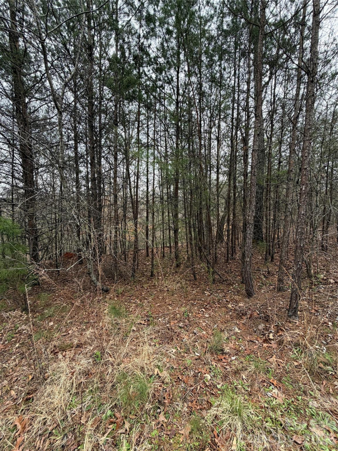 0 Shady Bark Lane #40 - Photo 10