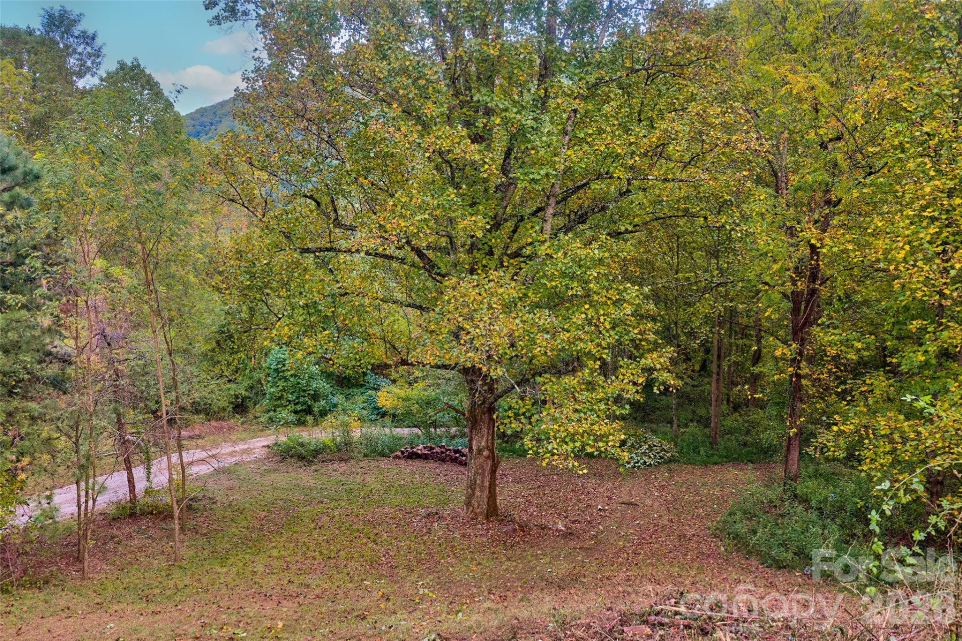 1087 Turkey Creek Road - Photo 28