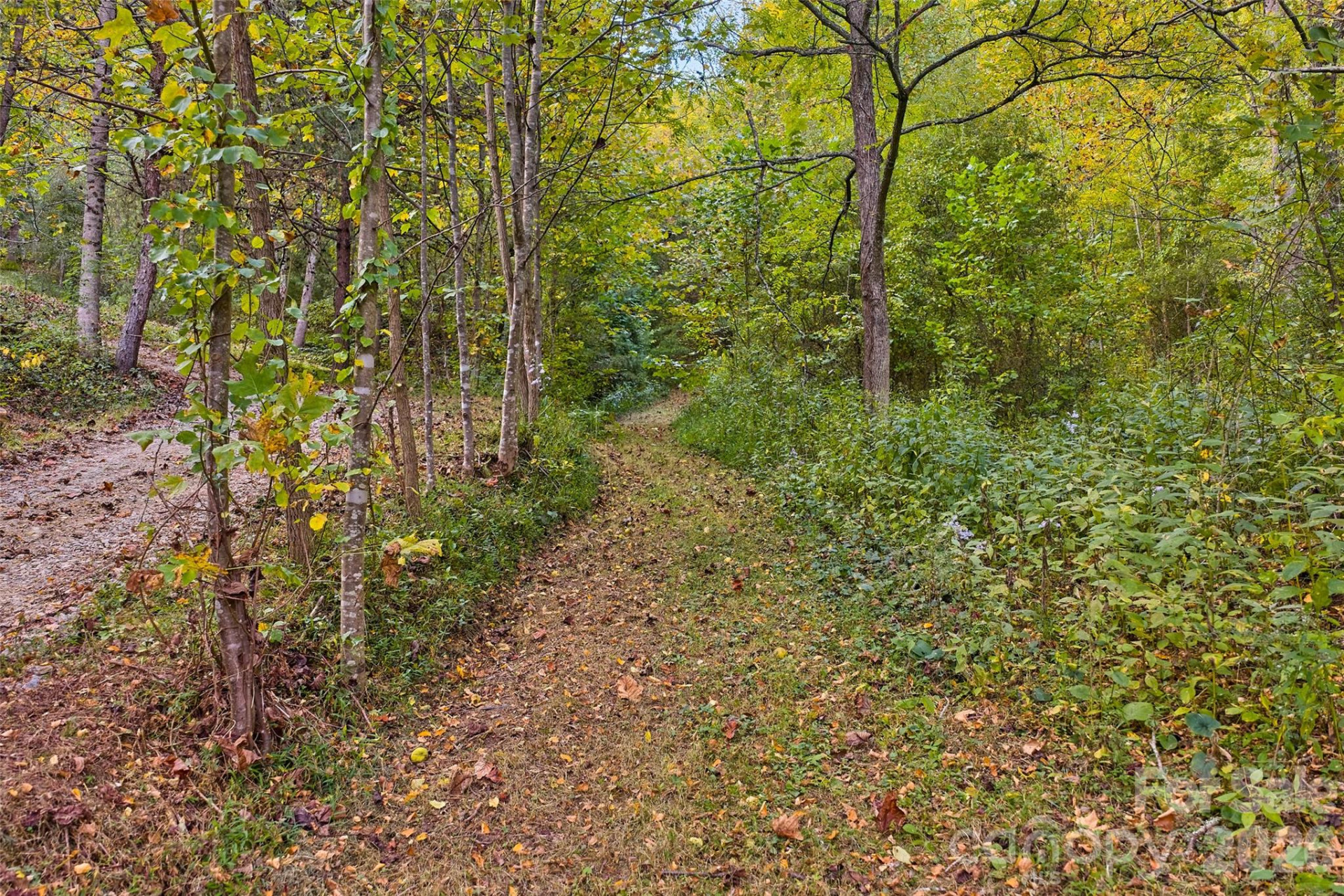 1087 Turkey Creek Road - Photo 35