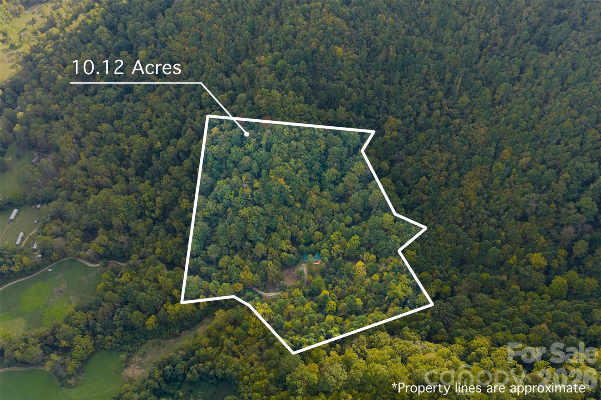 1087 Turkey Creek Road - Photo 36