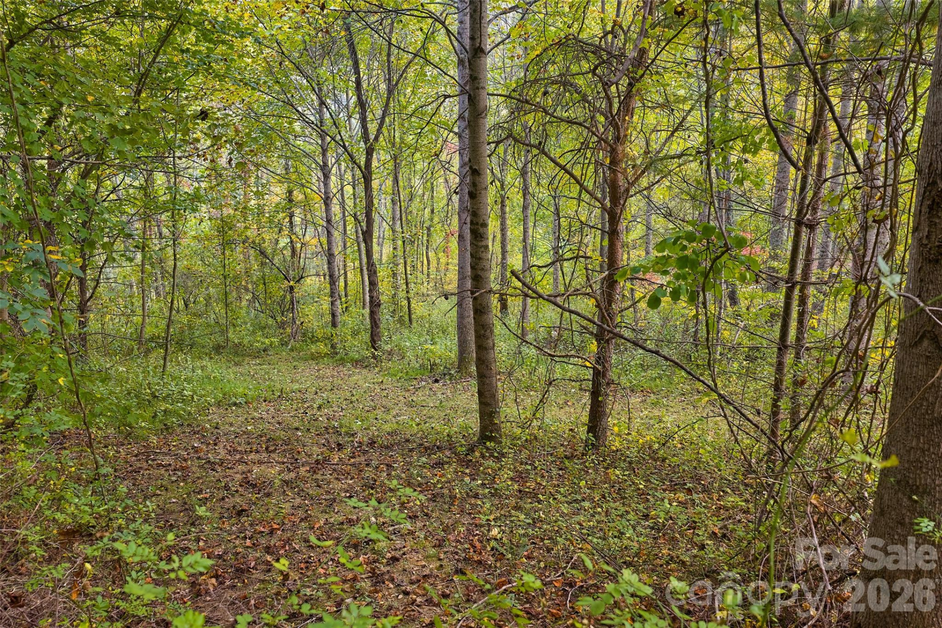 1087 Turkey Creek Road - Photo 37