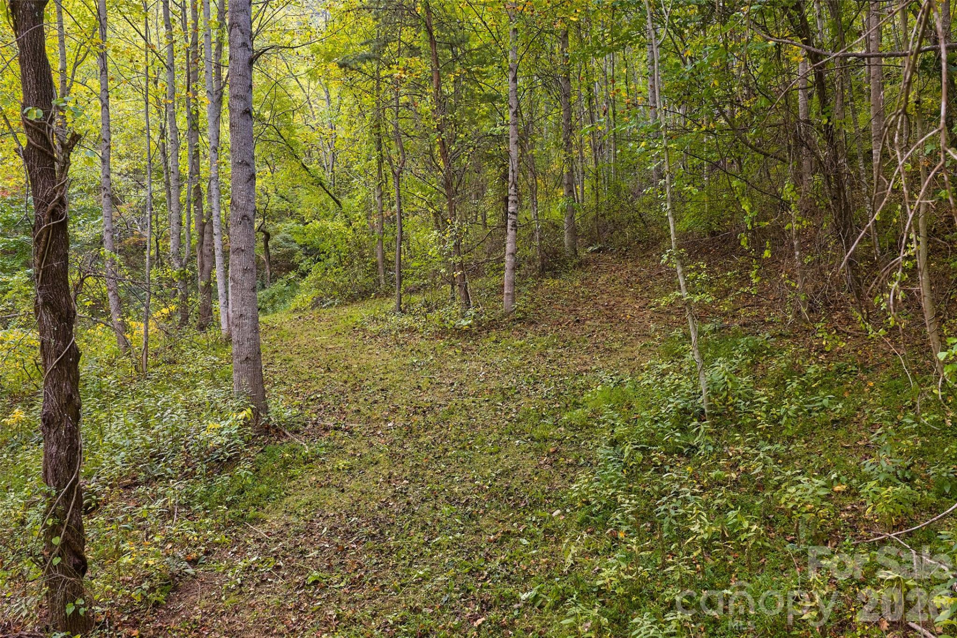 1087 Turkey Creek Road - Photo 38