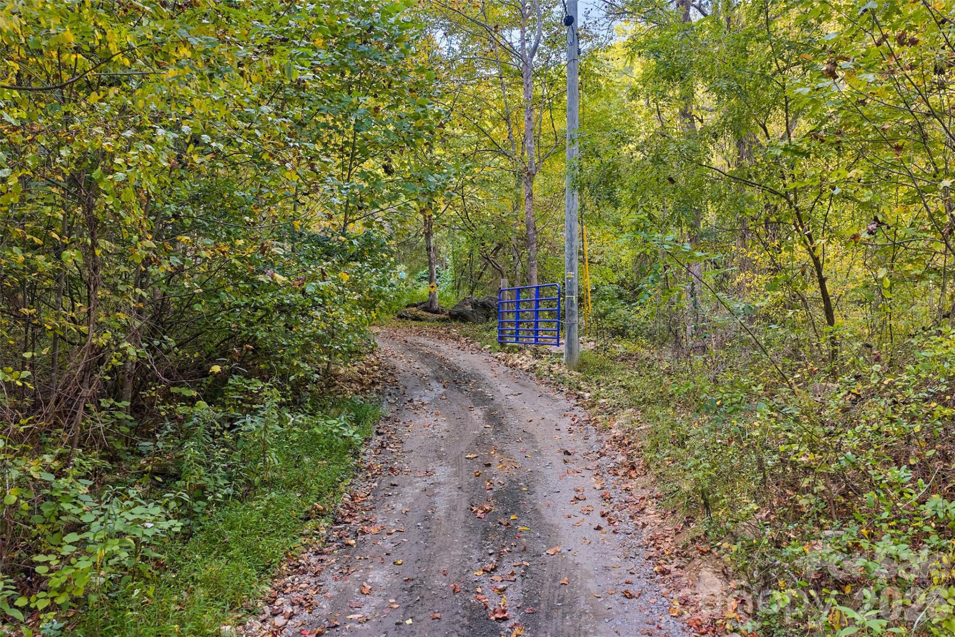 1087 Turkey Creek Road - Photo 39