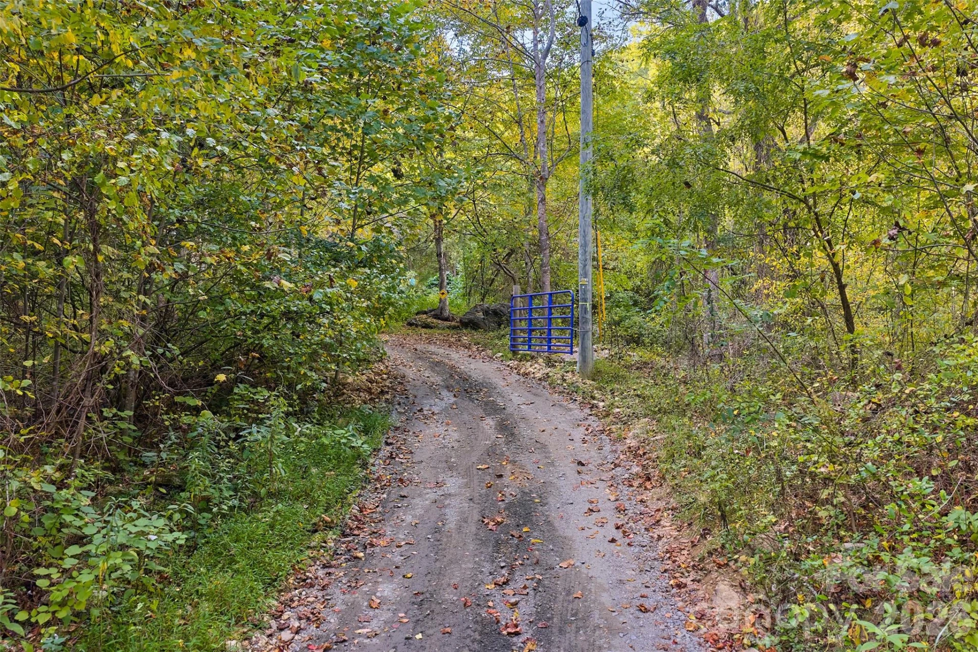1087 Turkey Creek Road - Photo 39