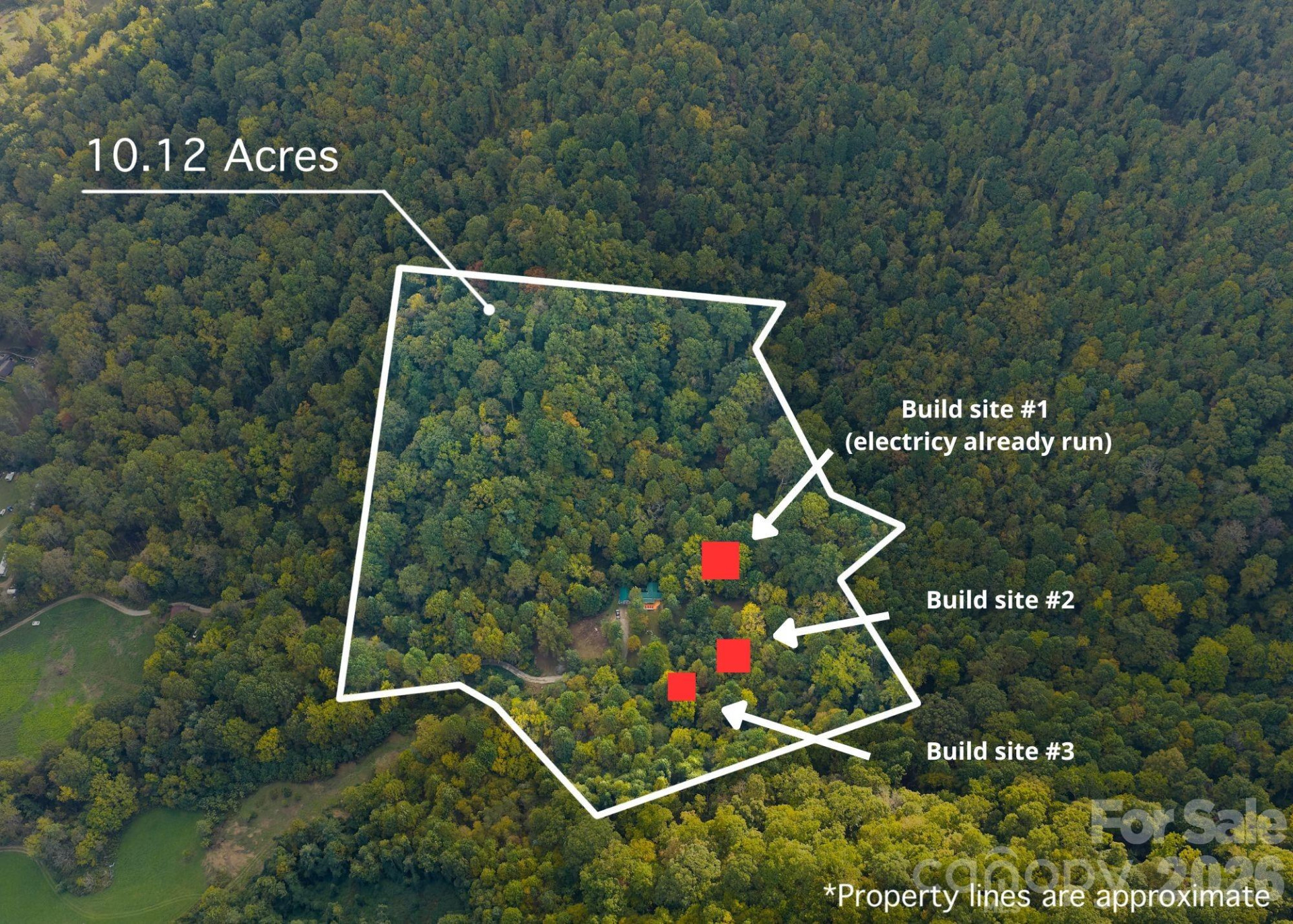 1087 Turkey Creek Road - Photo 6