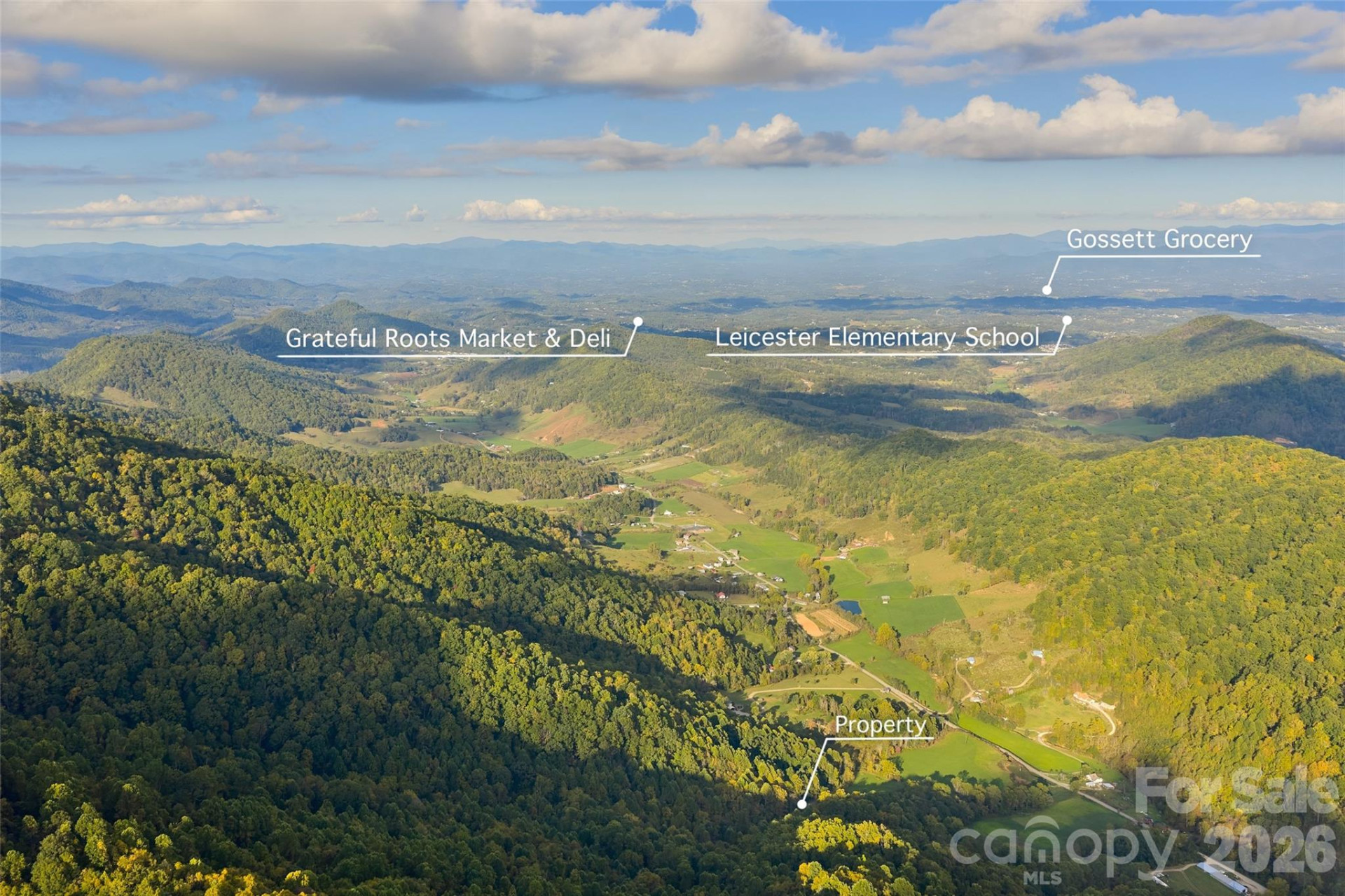 1087 Turkey Creek Road - Photo 7