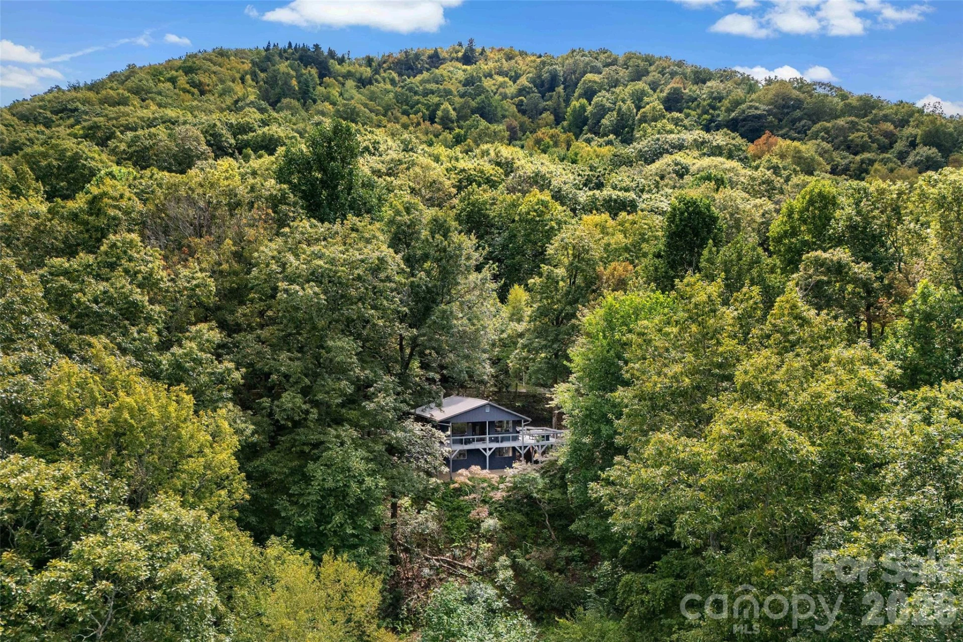68 Lakey Gap Heights #7 - Photo 41