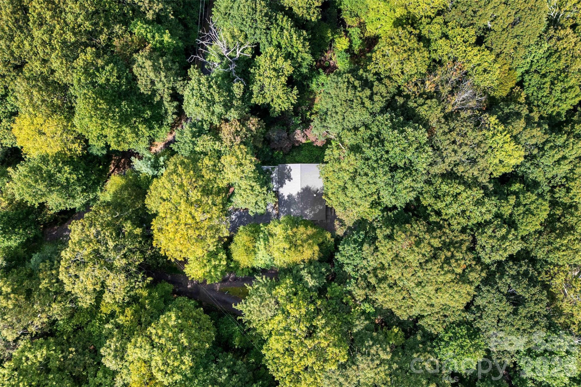 68 Lakey Gap Heights #7 - Photo 42