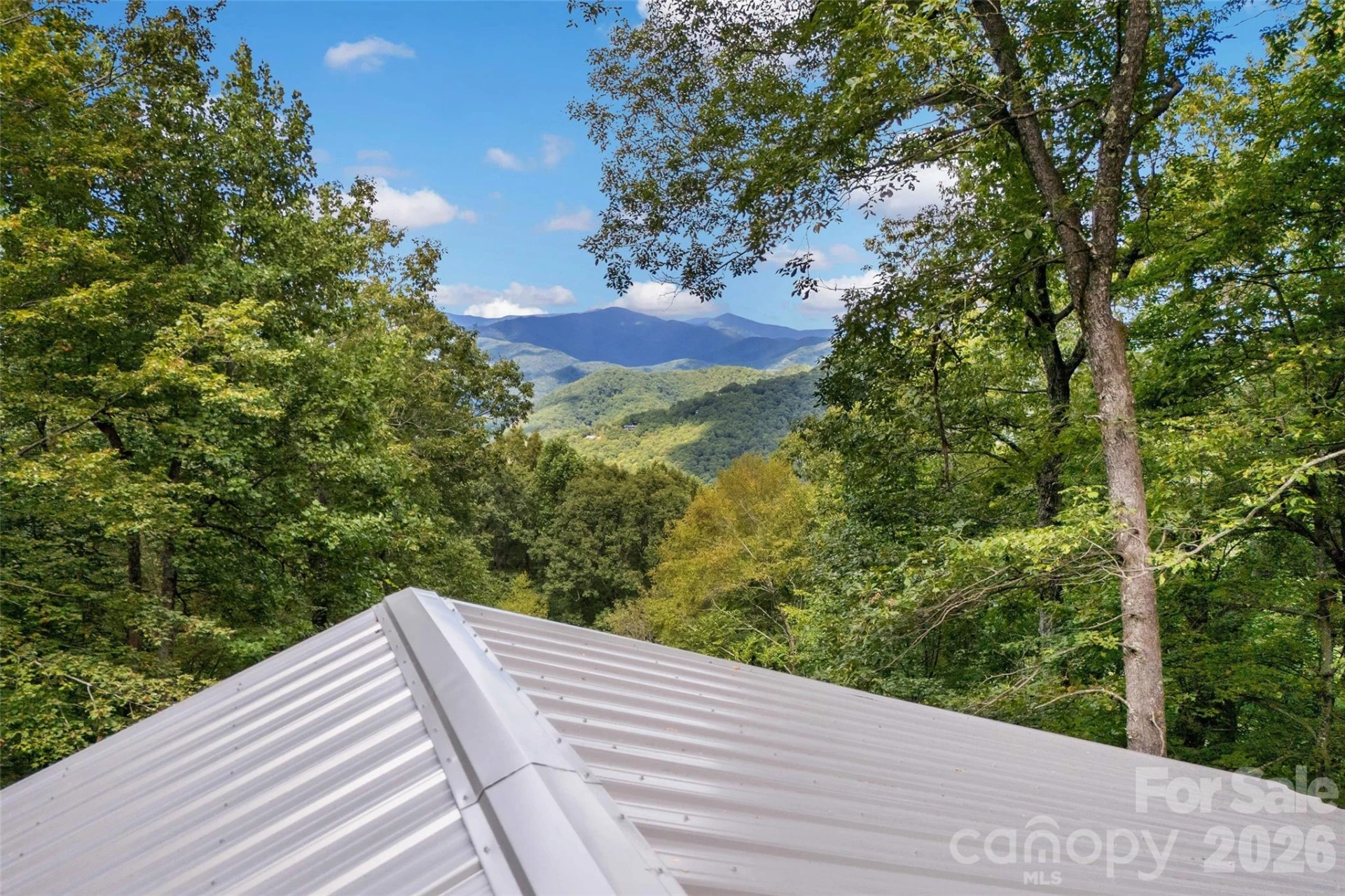 68 Lakey Gap Heights #7 - Photo 44