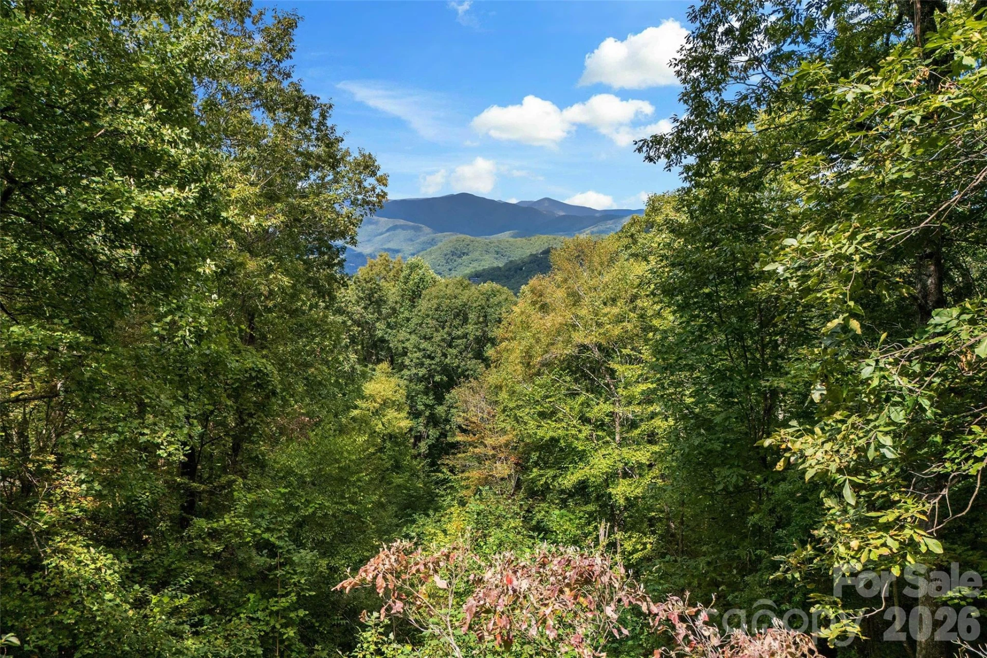 68 Lakey Gap Heights #7 - Photo 45