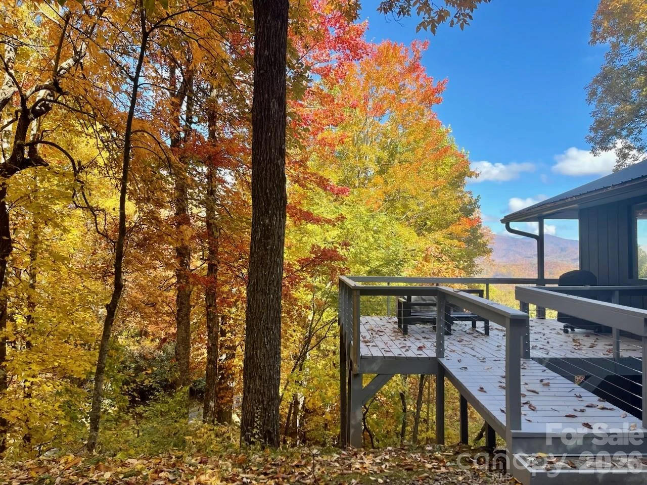 68 Lakey Gap Heights #7 - Photo 46