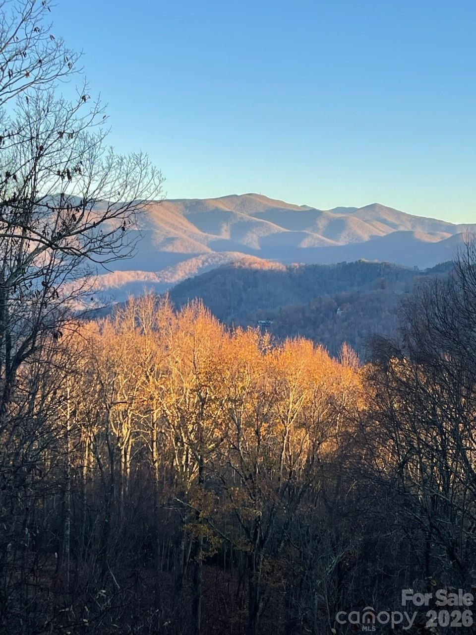 68 Lakey Gap Heights #7 - Photo 47