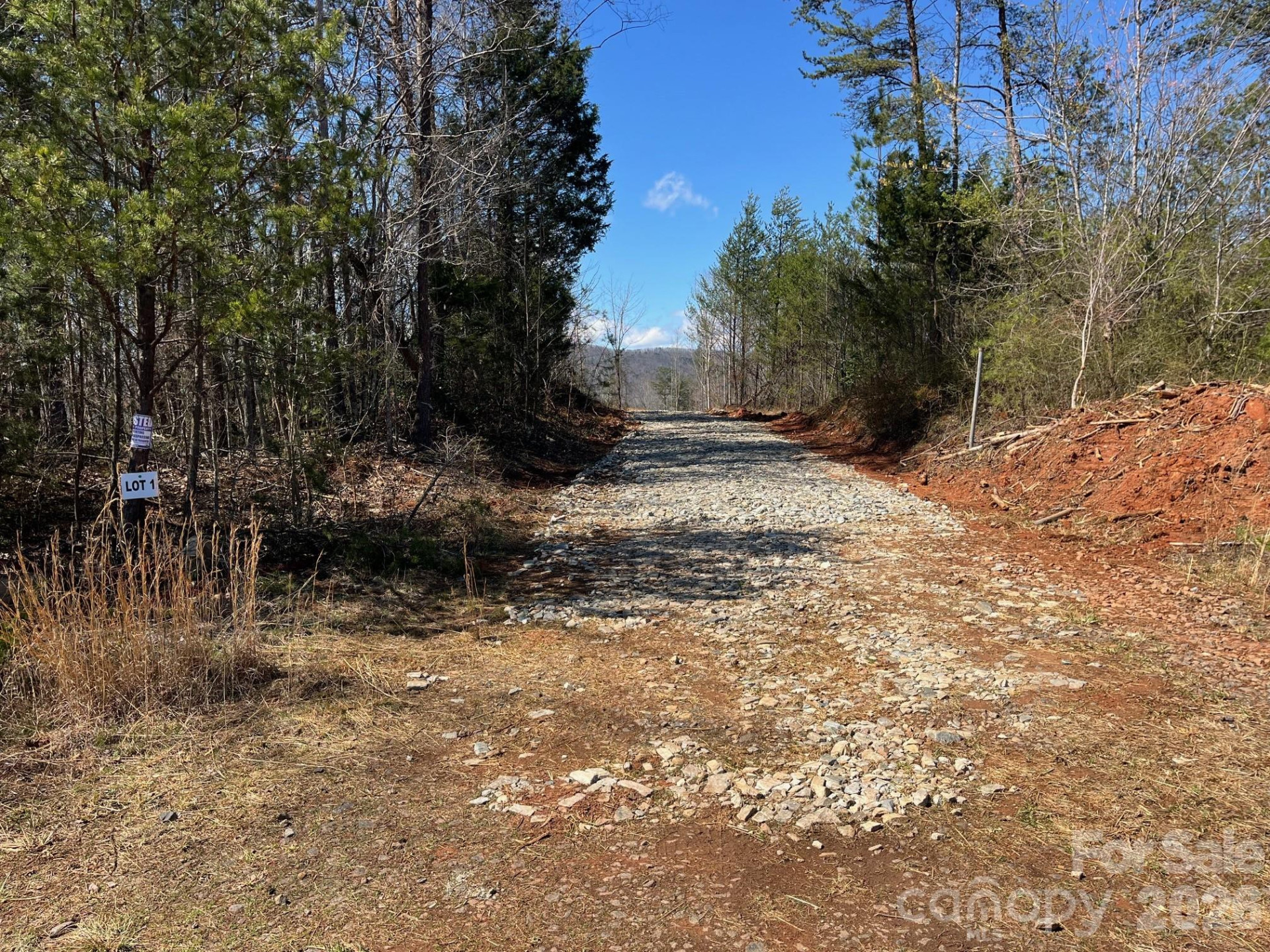 V/L Vein Mountain Road - Photo 2