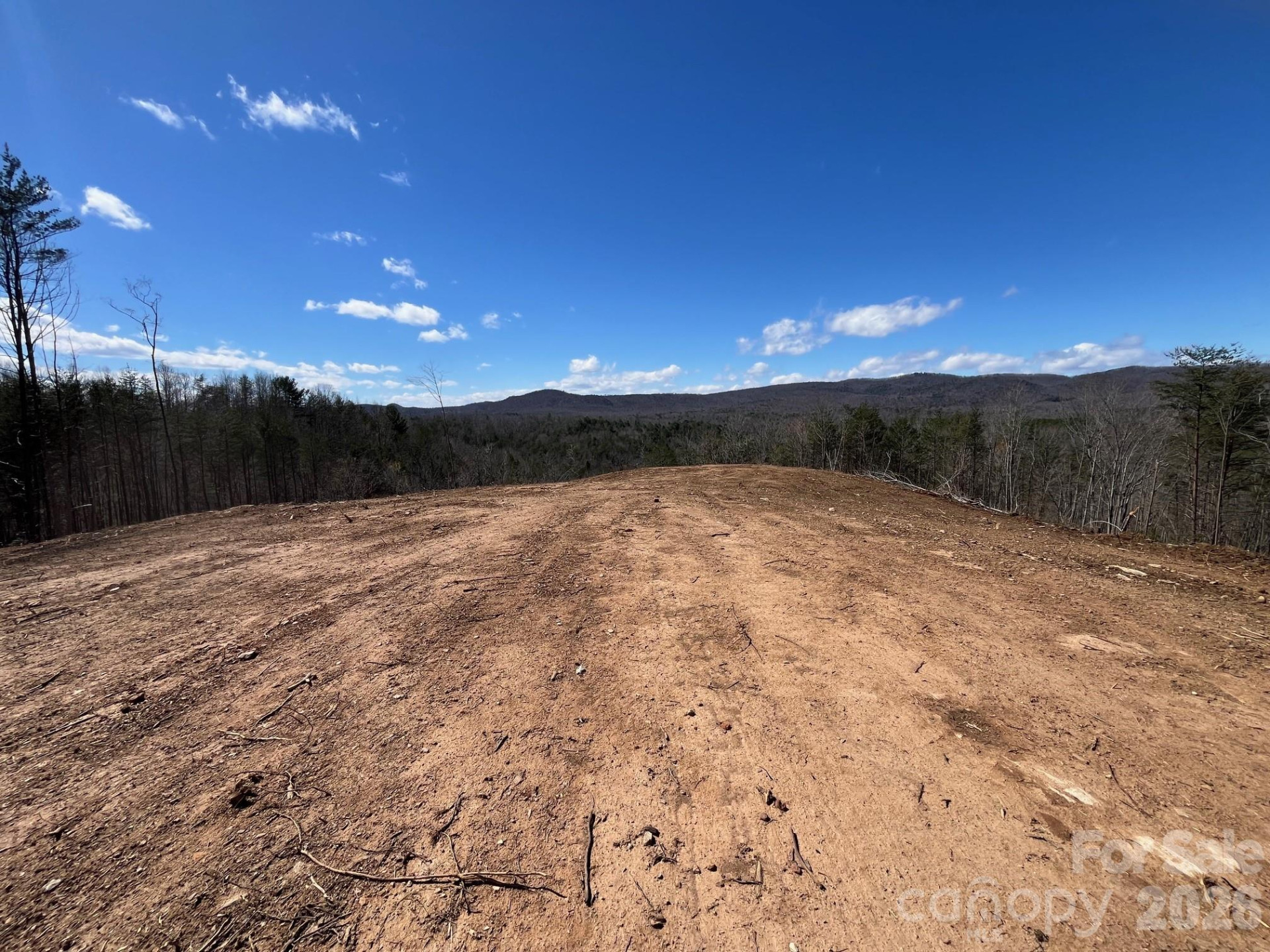 V/L Vein Mountain Road - Photo 11