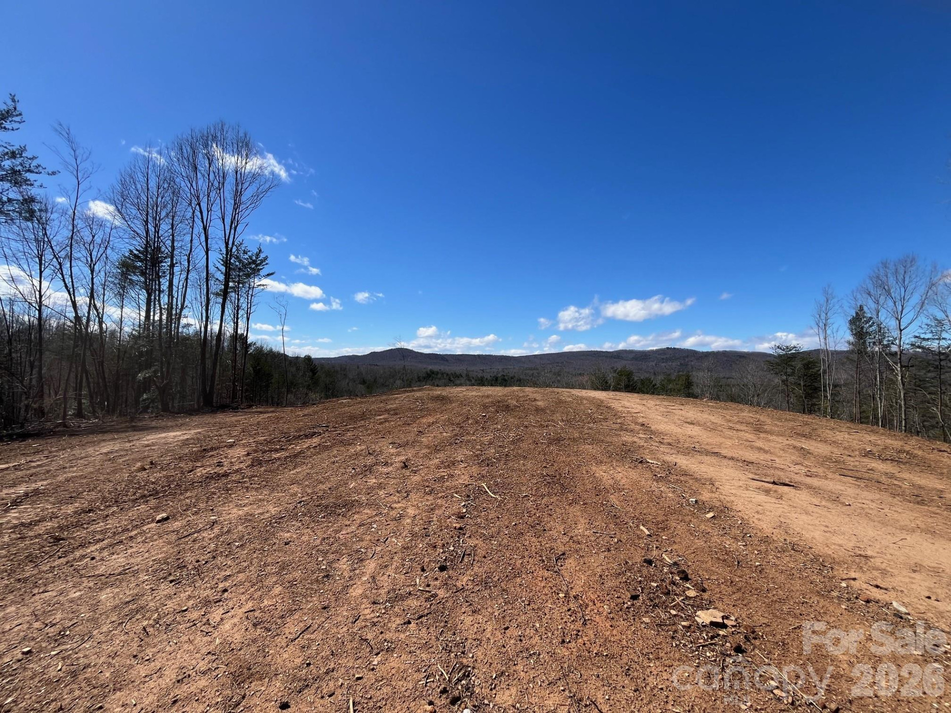 V/L Vein Mountain Road - Photo 12