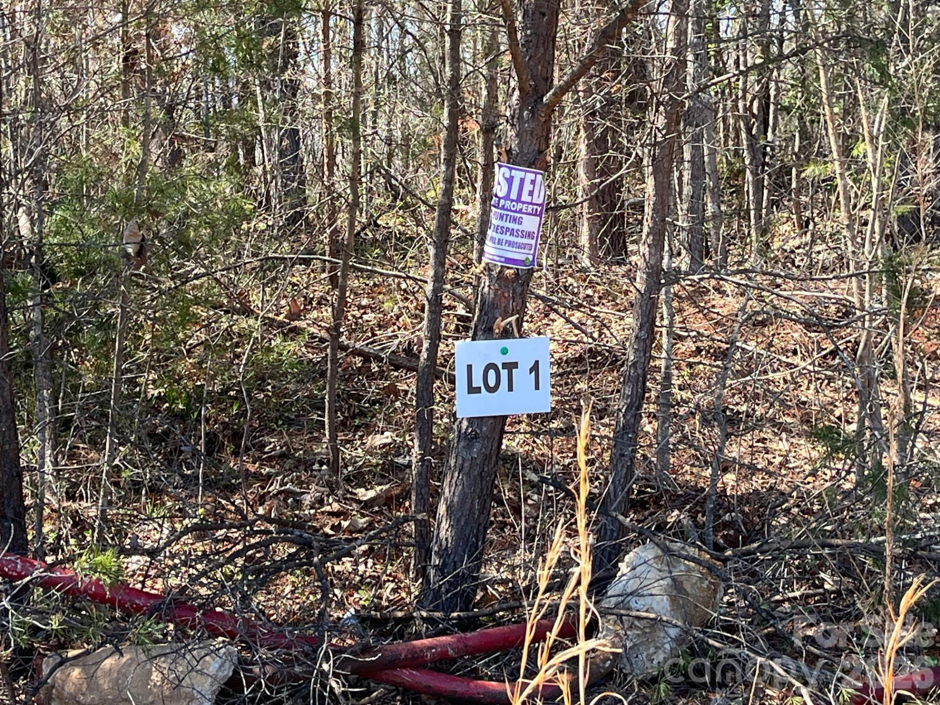 V/L Vein Mountain Road - Photo 16