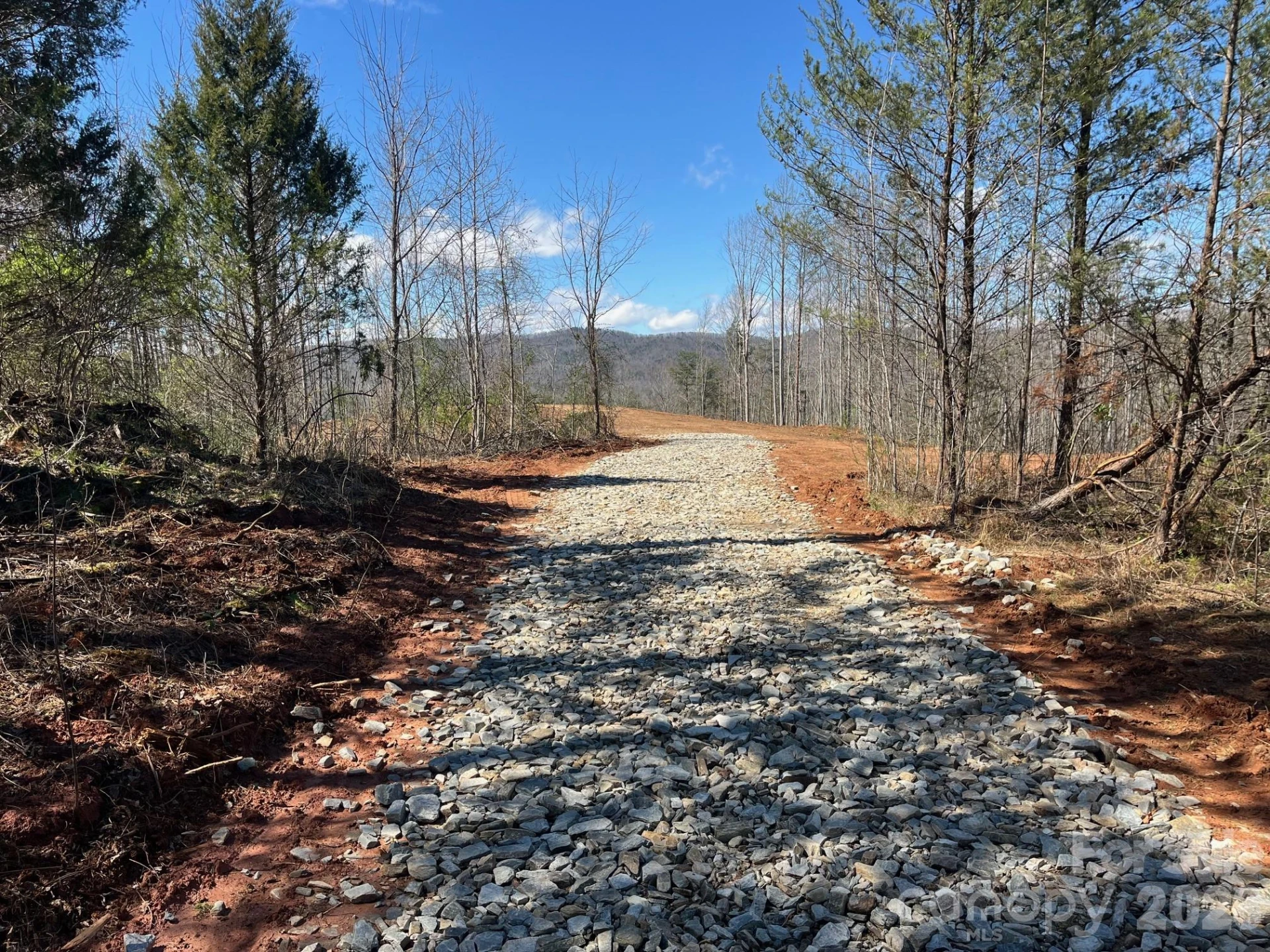 V/L Vein Mountain Road - Photo 3