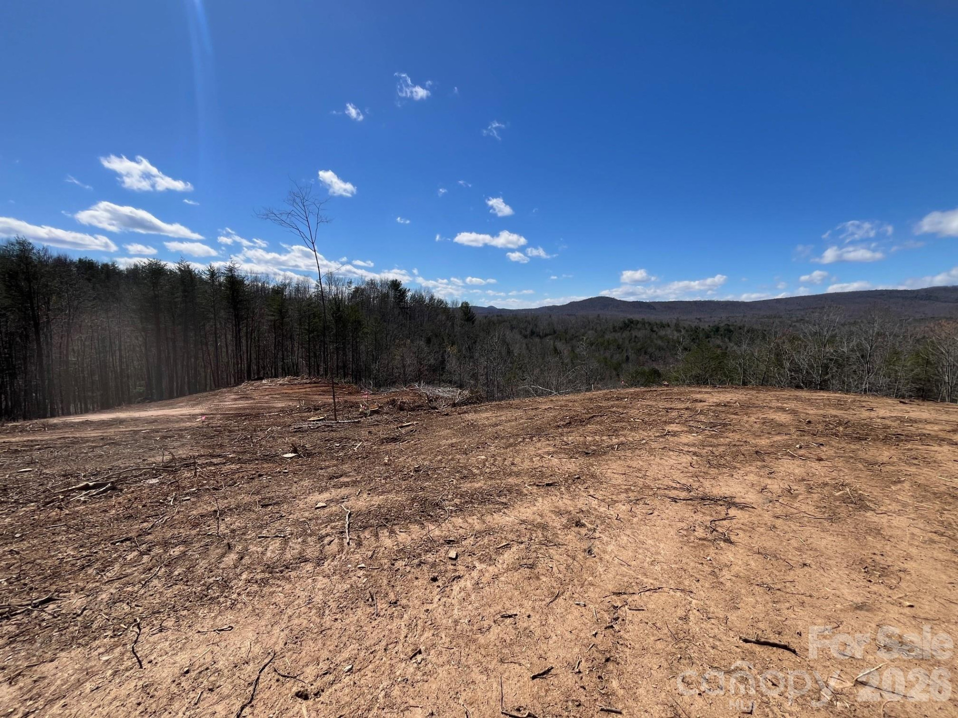 V/L Vein Mountain Road - Photo 4