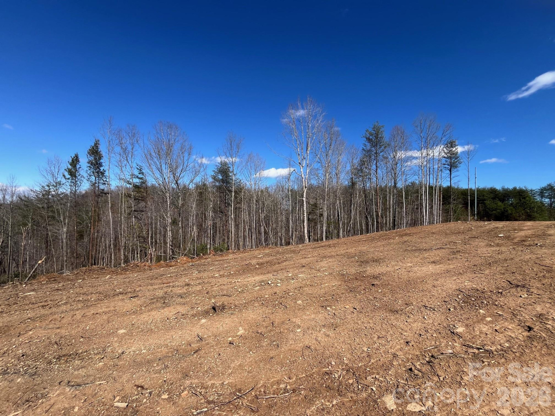 V/L Vein Mountain Road - Photo 5