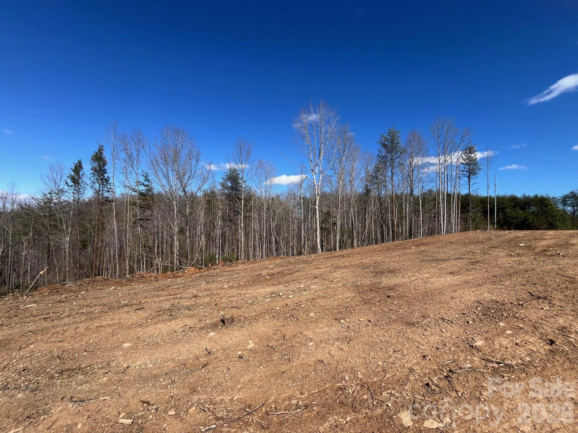 V/L Vein Mountain Road - Photo 5