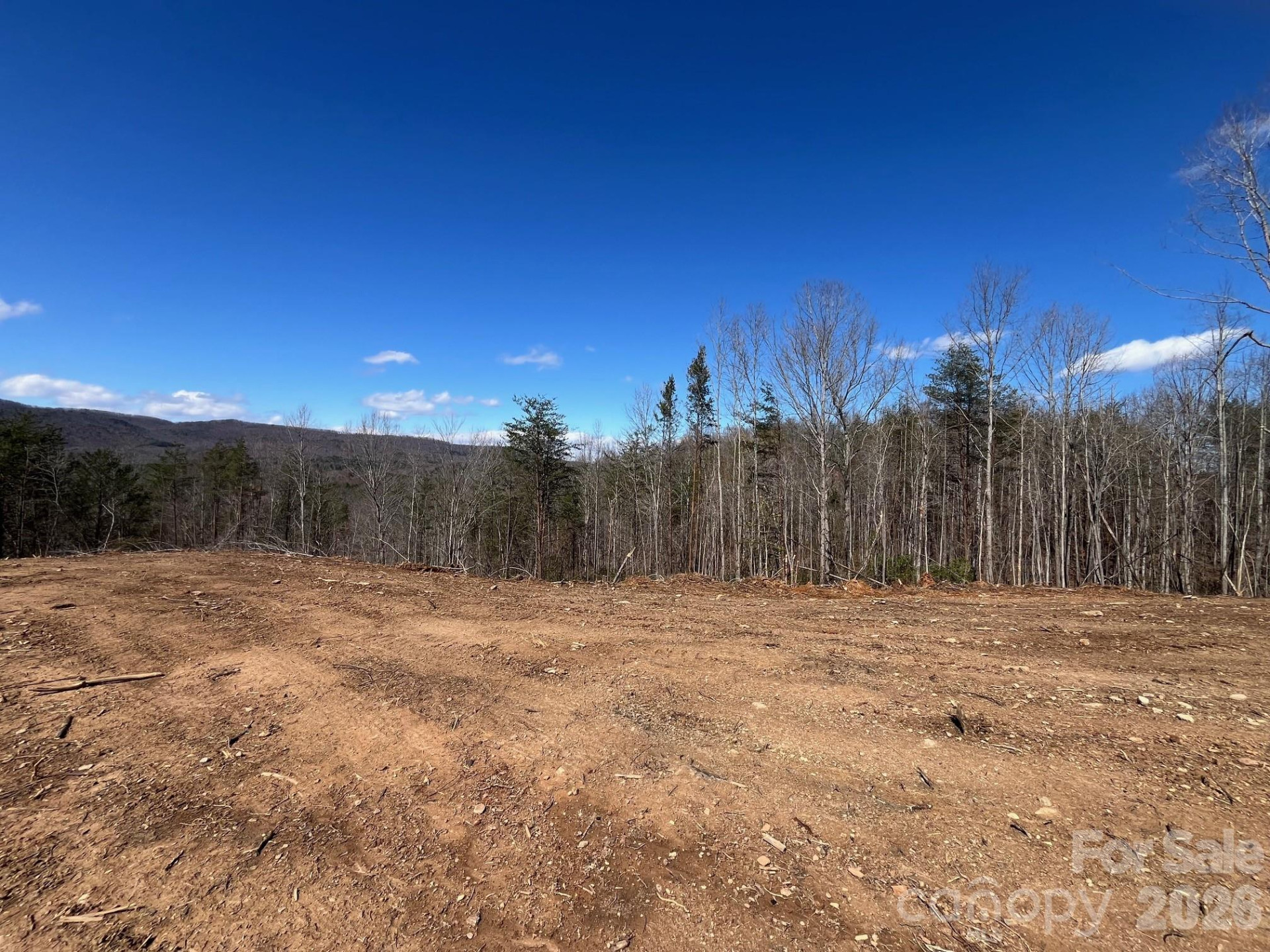 V/L Vein Mountain Road - Photo 6