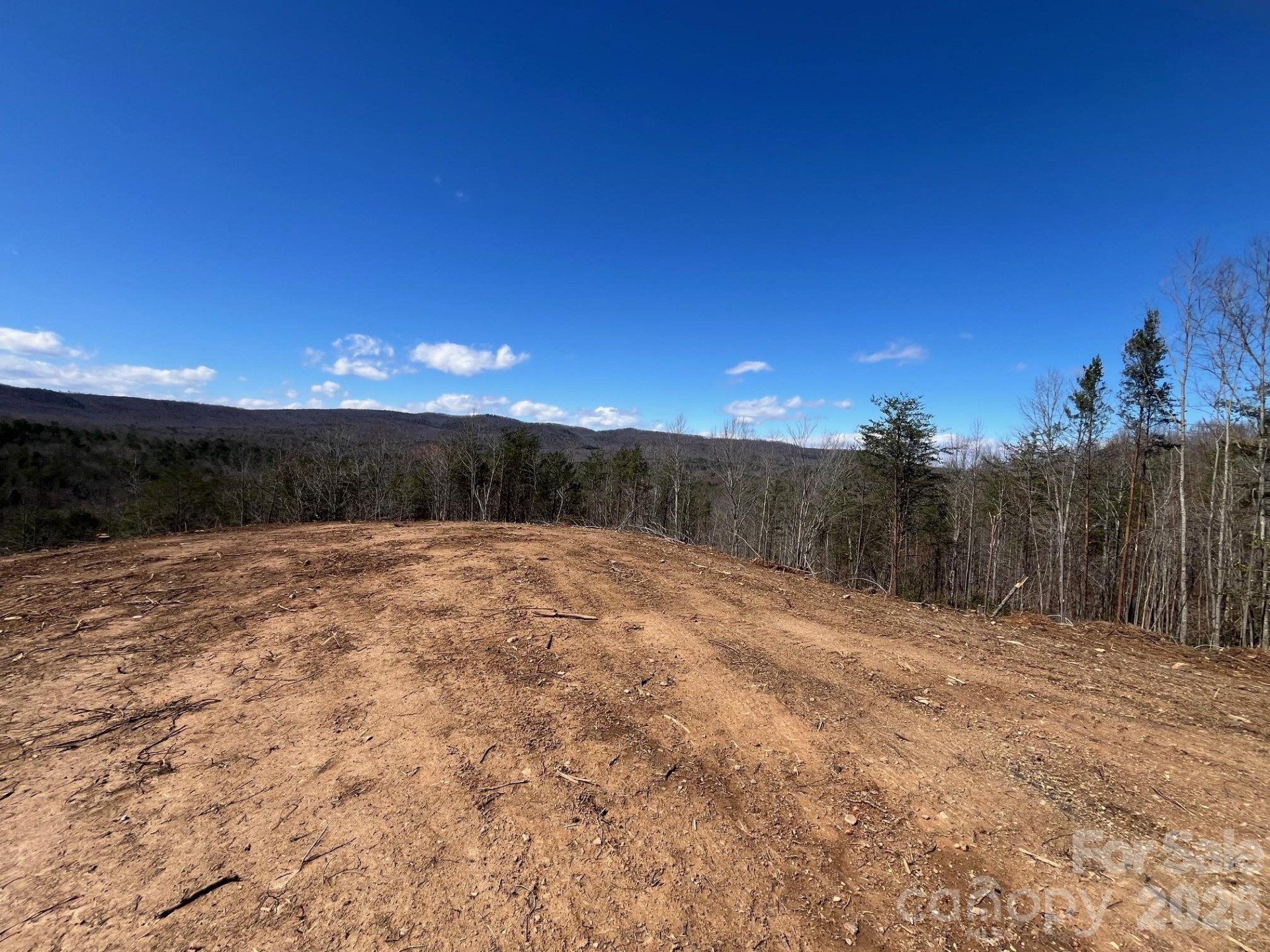 V/L Vein Mountain Road - Photo 7