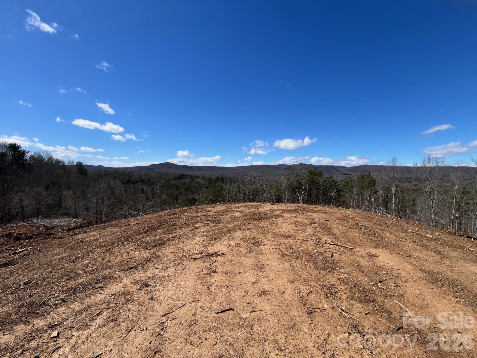 V/L Vein Mountain Road - Photo 8