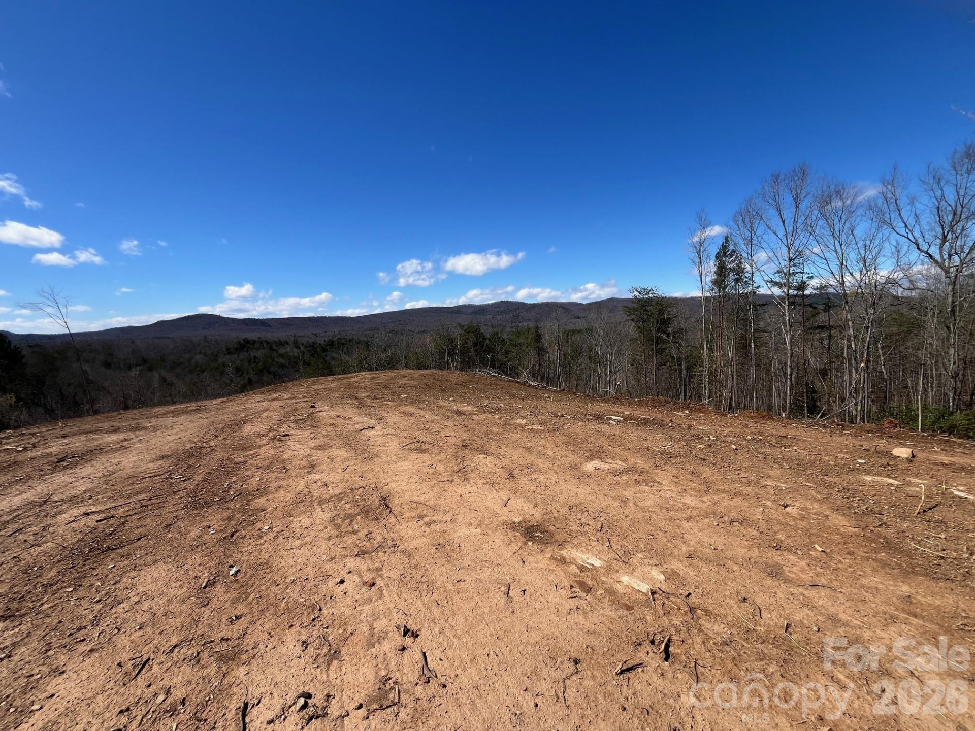 V/L Vein Mountain Road - Photo 9