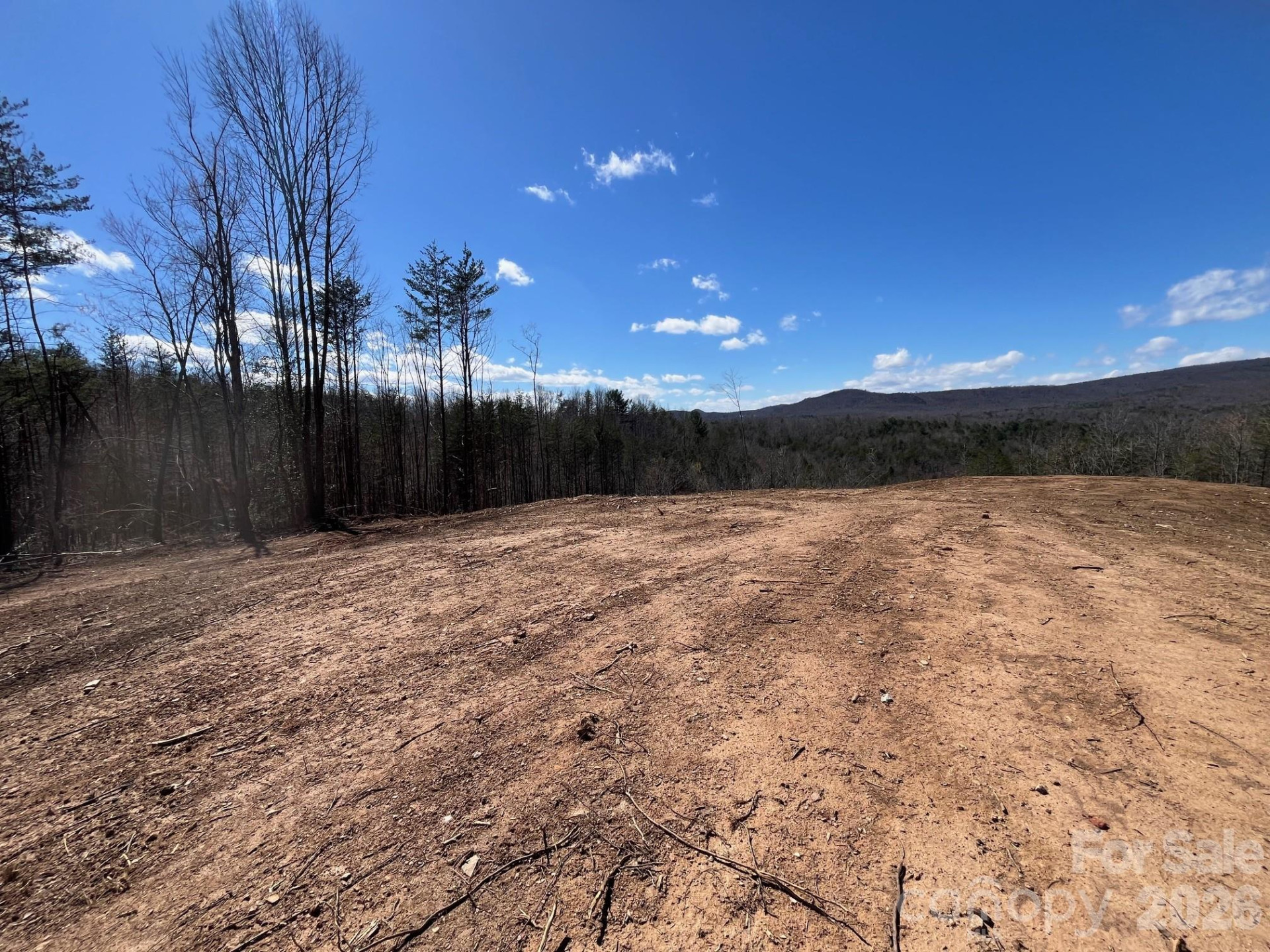 V/L Vein Mountain Road - Photo 10