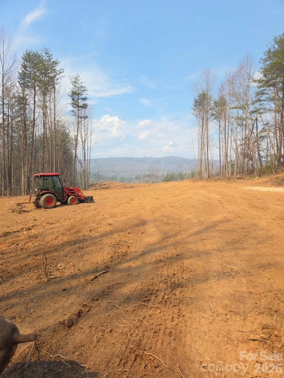 V/L Vein Mountain Road #2