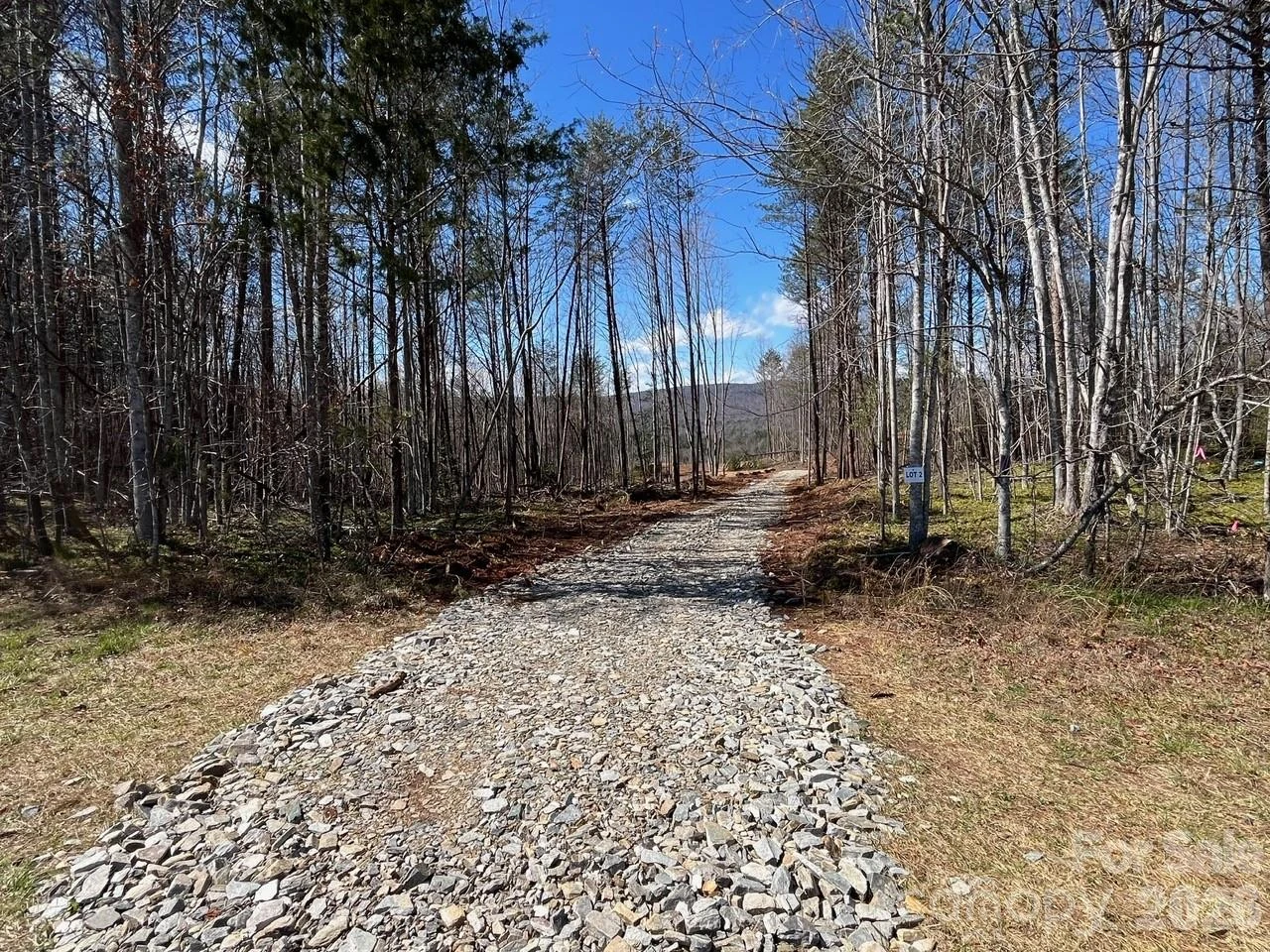 V/L Vein Mountain Road #2 - Photo 2