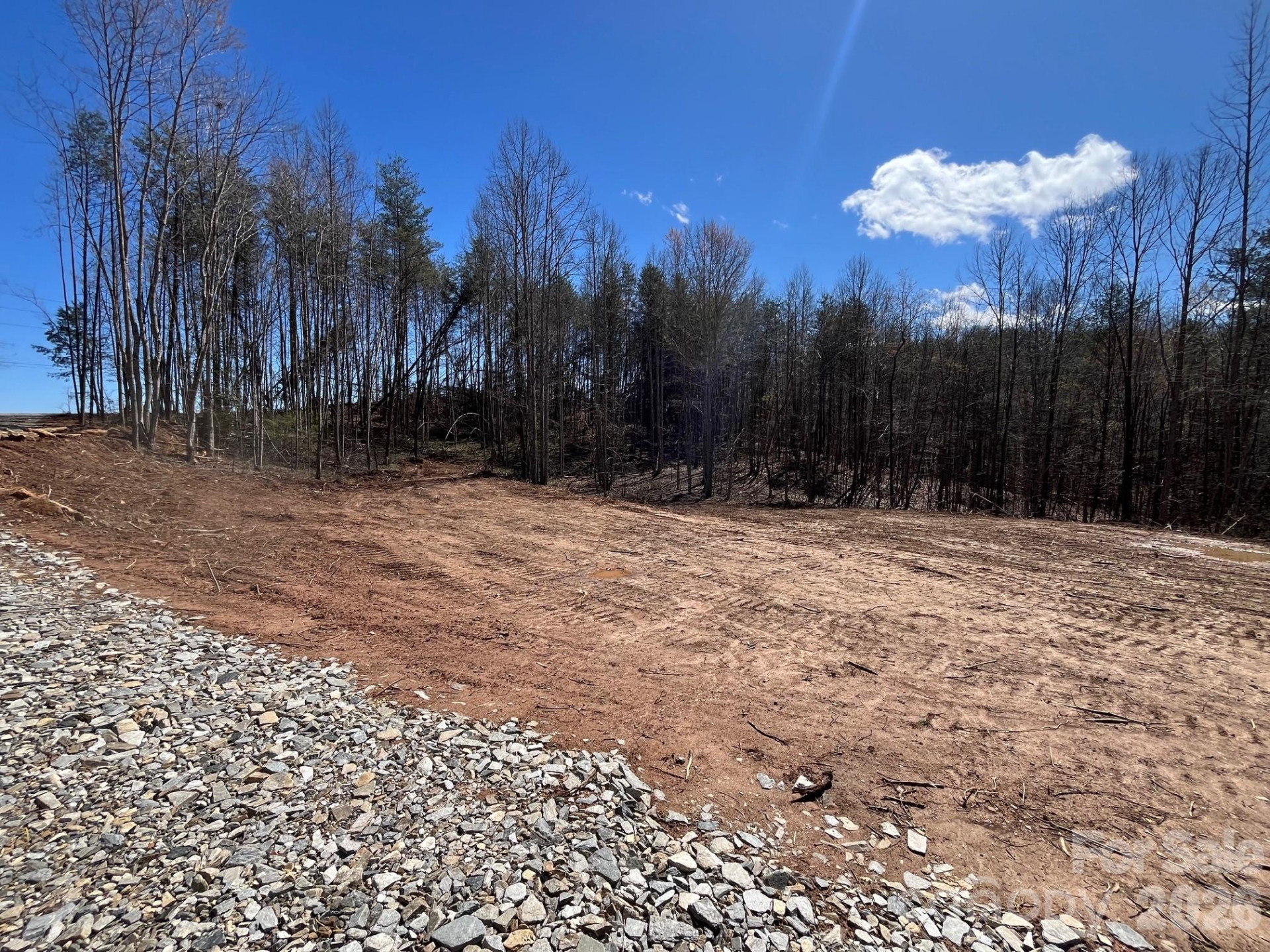 V/L Vein Mountain Road - Photo 12