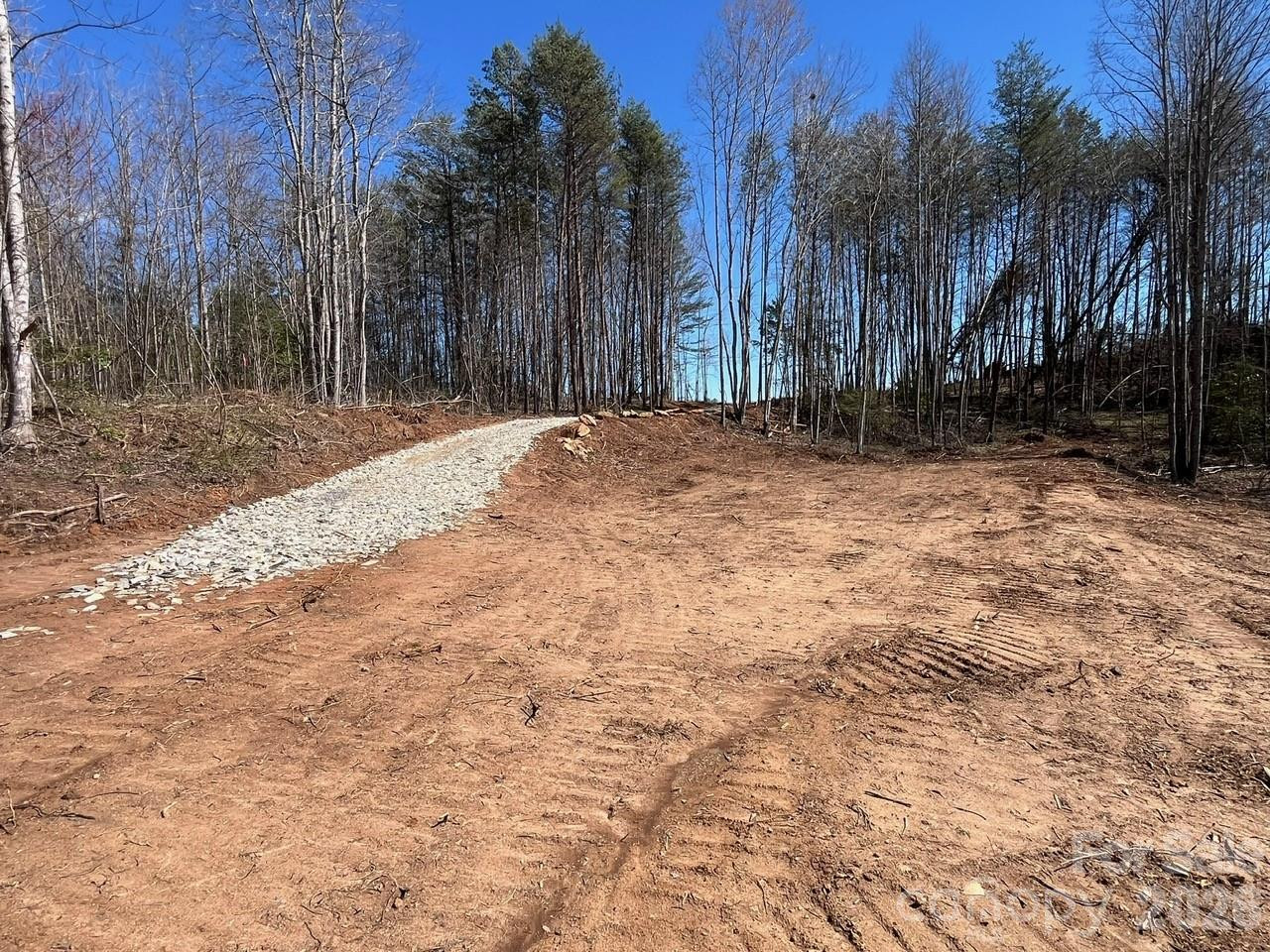 V/L Vein Mountain Road - Photo 13