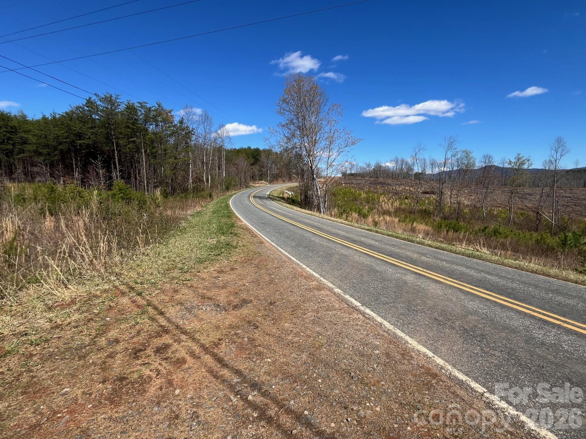 V/L Vein Mountain Road - Photo 15