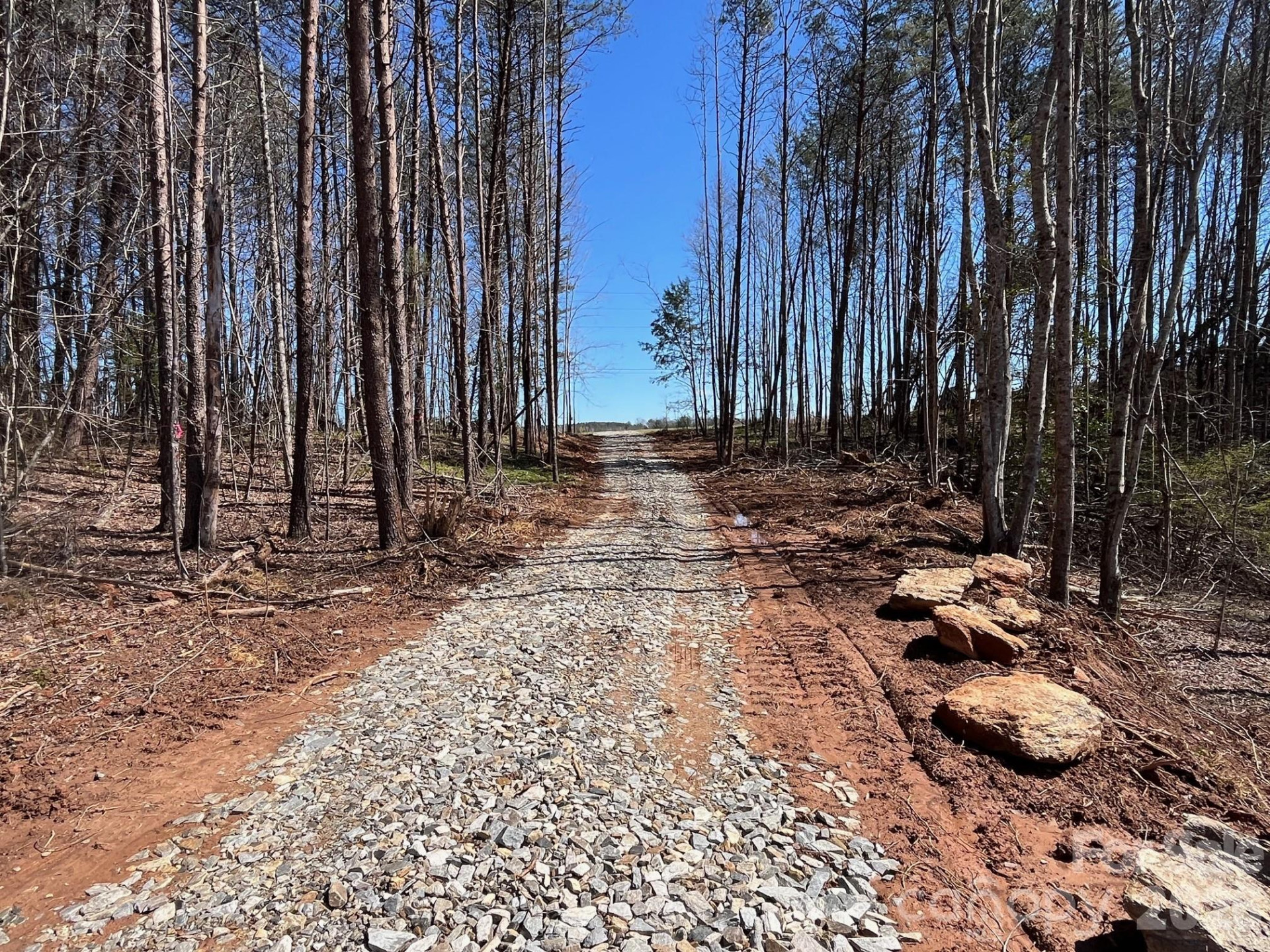 V/L Vein Mountain Road - Photo 3