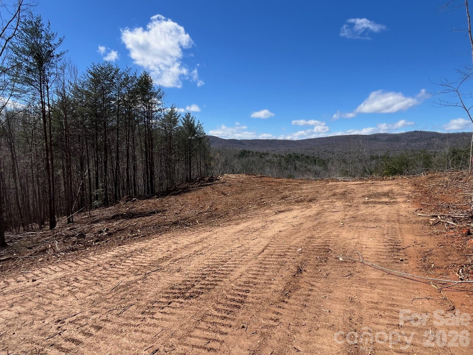 V/L Vein Mountain Road - Photo 5