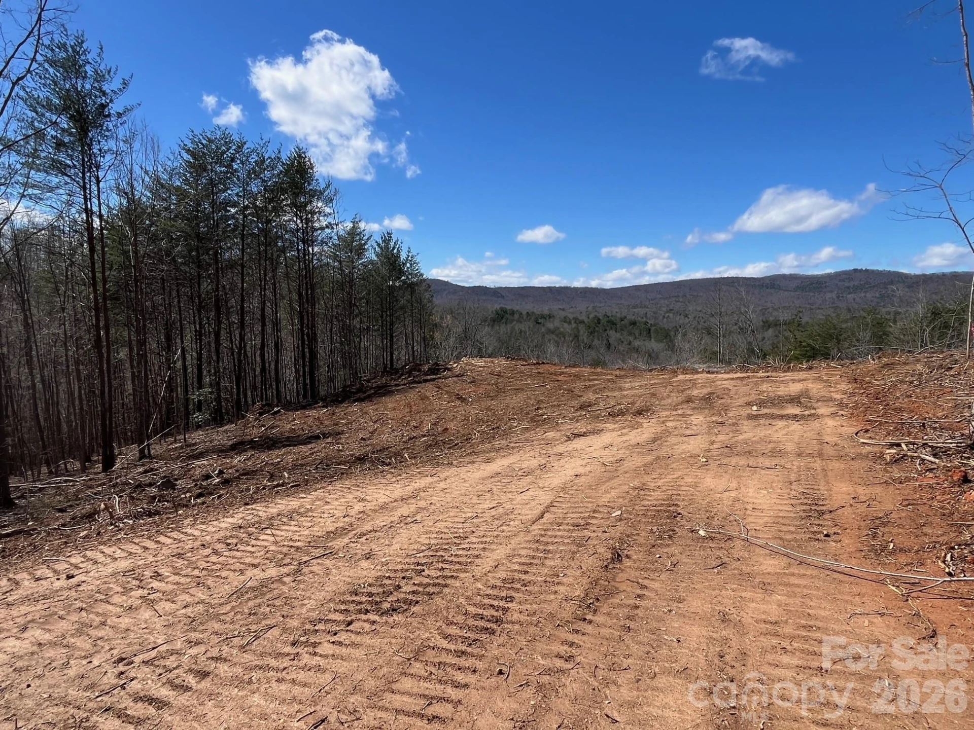 V/L Vein Mountain Road #2 - Photo 5