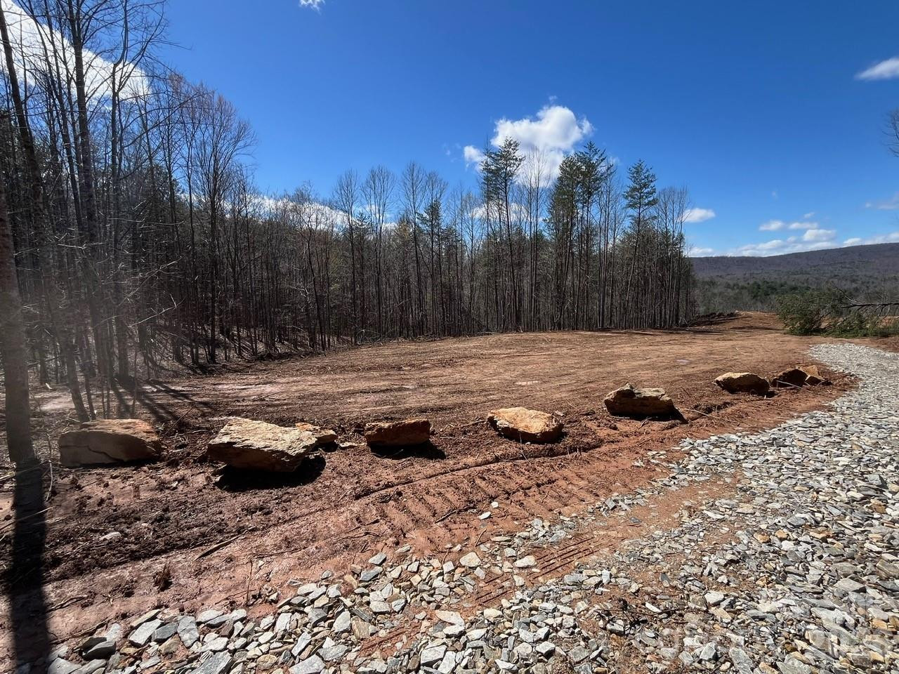 V/L Vein Mountain Road - Photo 6