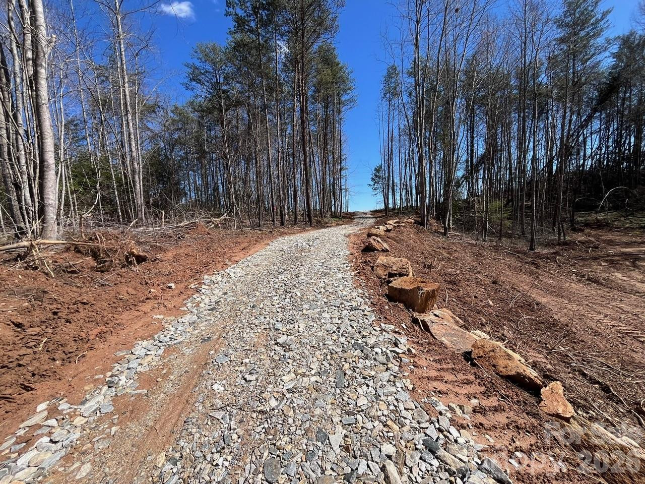 V/L Vein Mountain Road - Photo 7