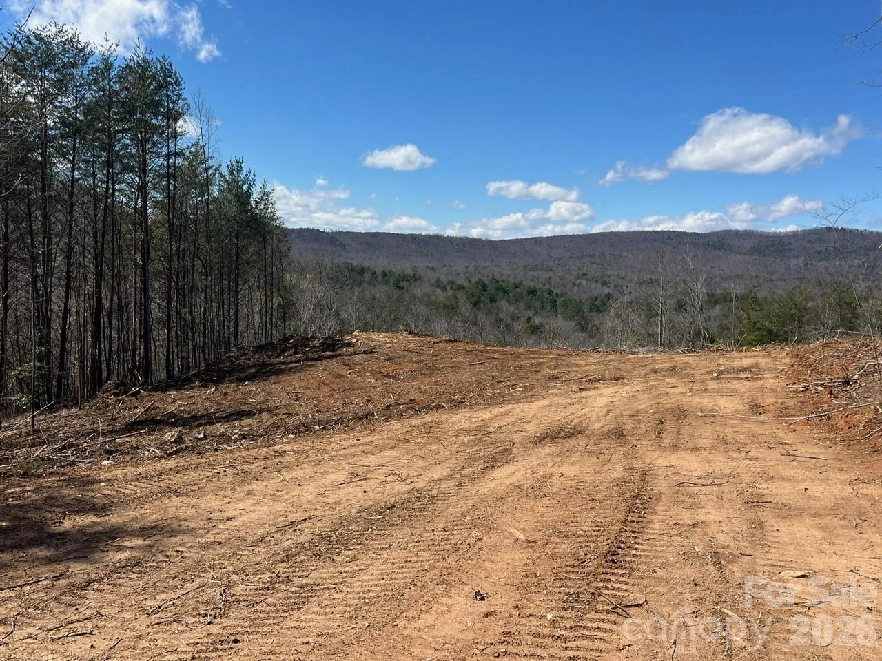 V/L Vein Mountain Road #2 - Photo 9