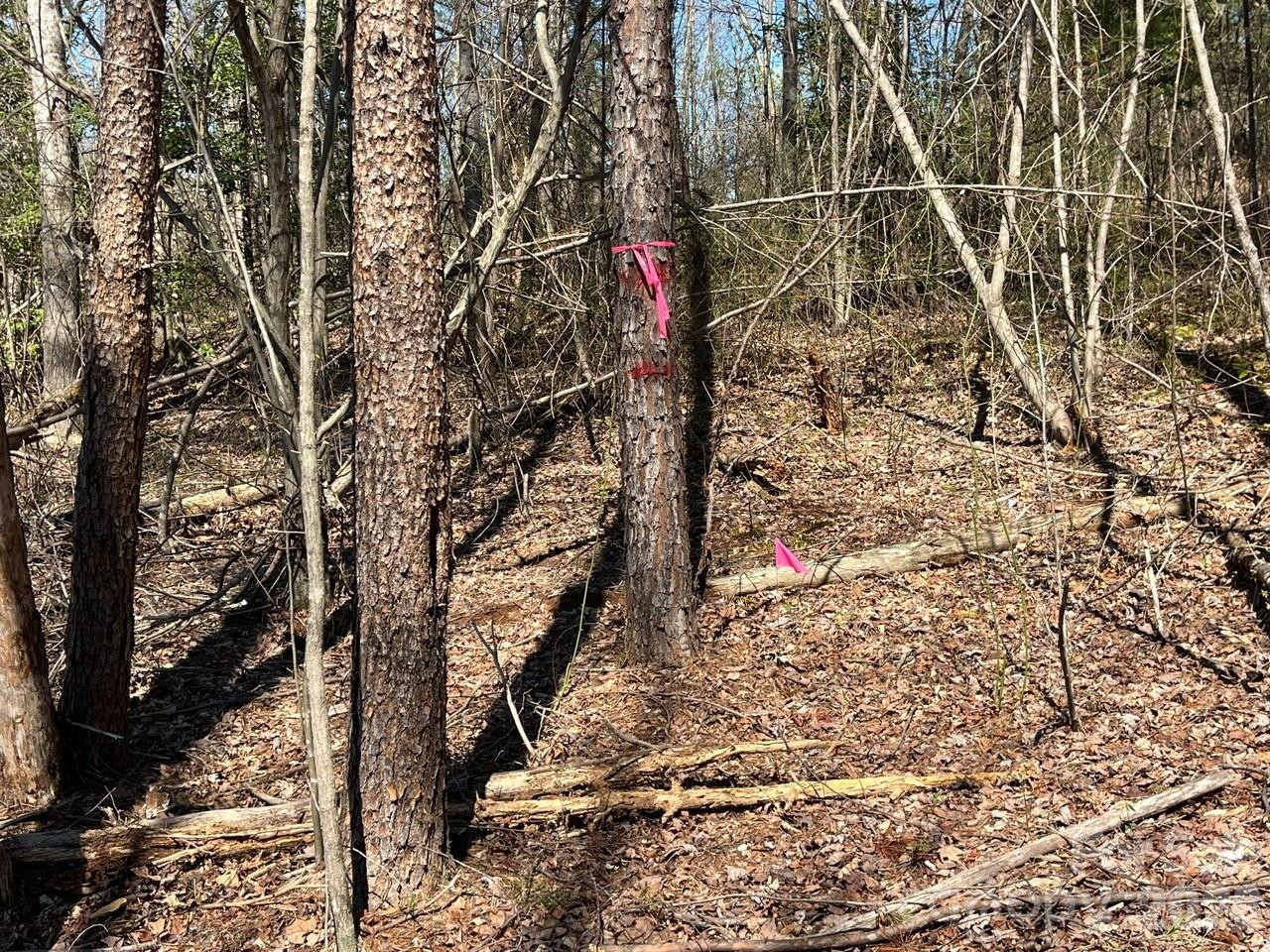 V/L Vein Mountain Road - Photo 10