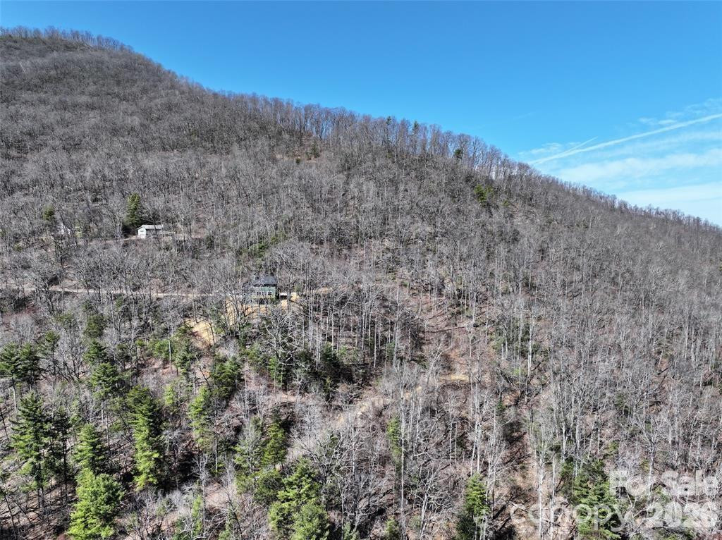 11 Taryn Trace #16 - Photo 4