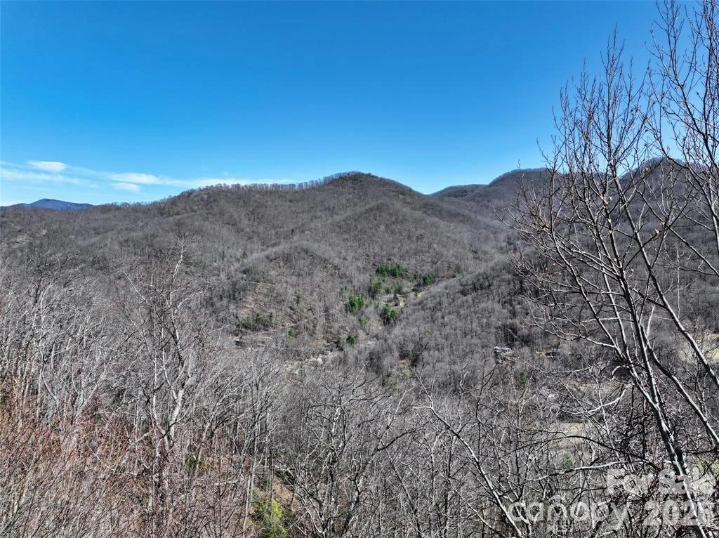 11 Taryn Trace #16 - Photo 7