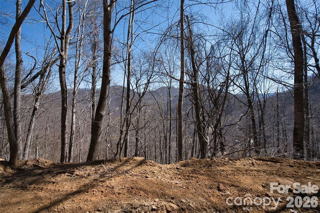 11 Taryn Trace #16 - Photo 9